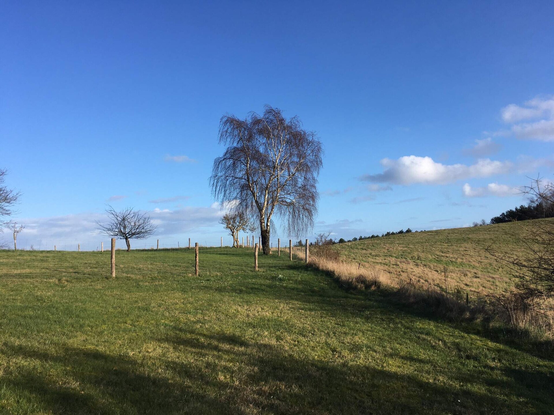 Gezellig vakantiehuis voor 6 personen in Knebel - foto 7