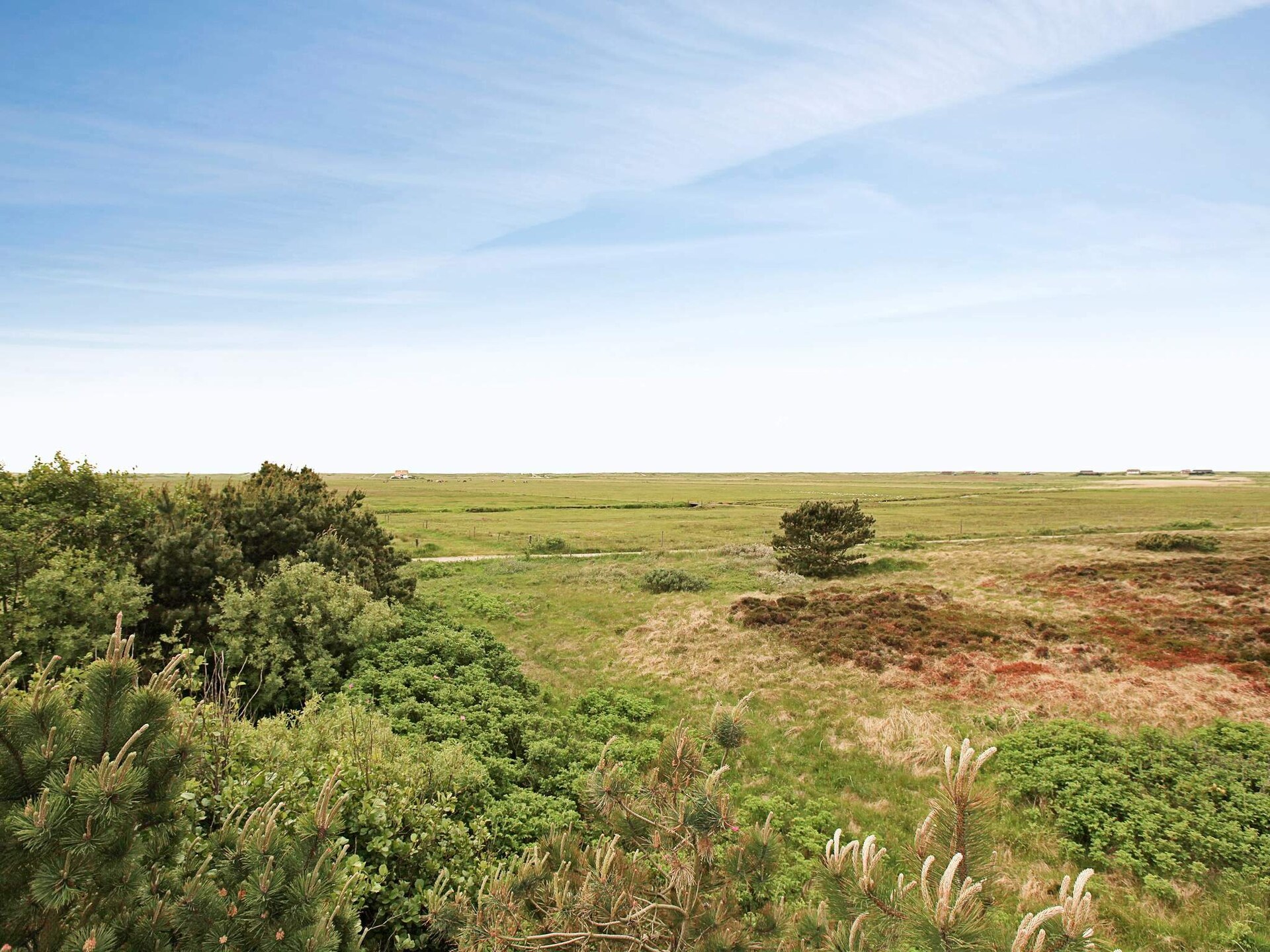 Vrijstaand vakantiehuis met panoramisch uitzicht op 700m van de zee in Blåvand - foto 45