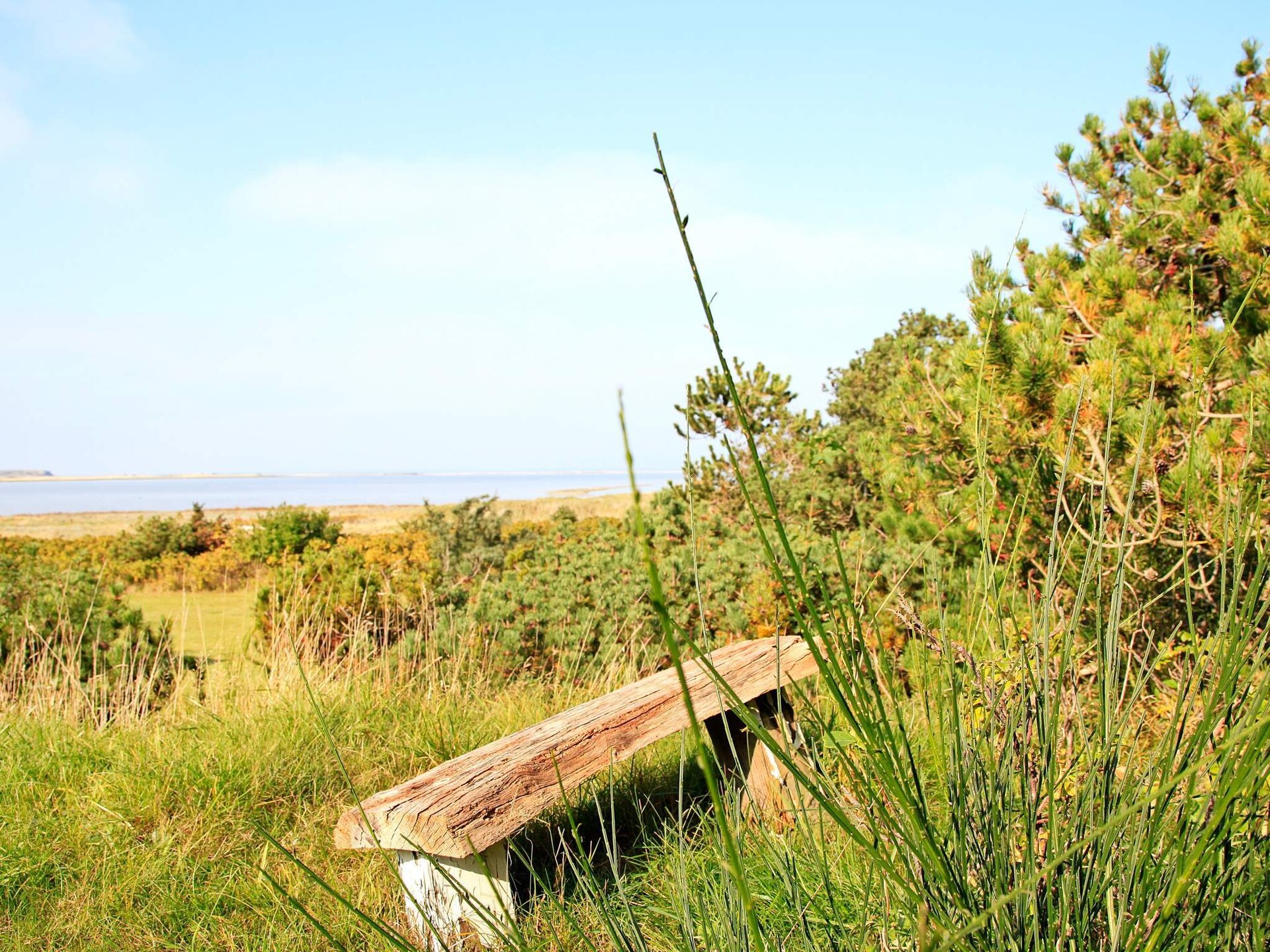 4-persoons vakantiehuis in Martofte direct aan zee - foto 5