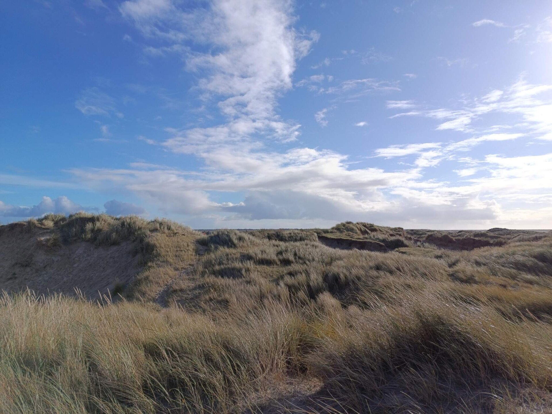 Vrijstaand vakantiehuis op Rømø met 3 slaapkamers, omgeven door bomen op 3 km van zee - foto 3