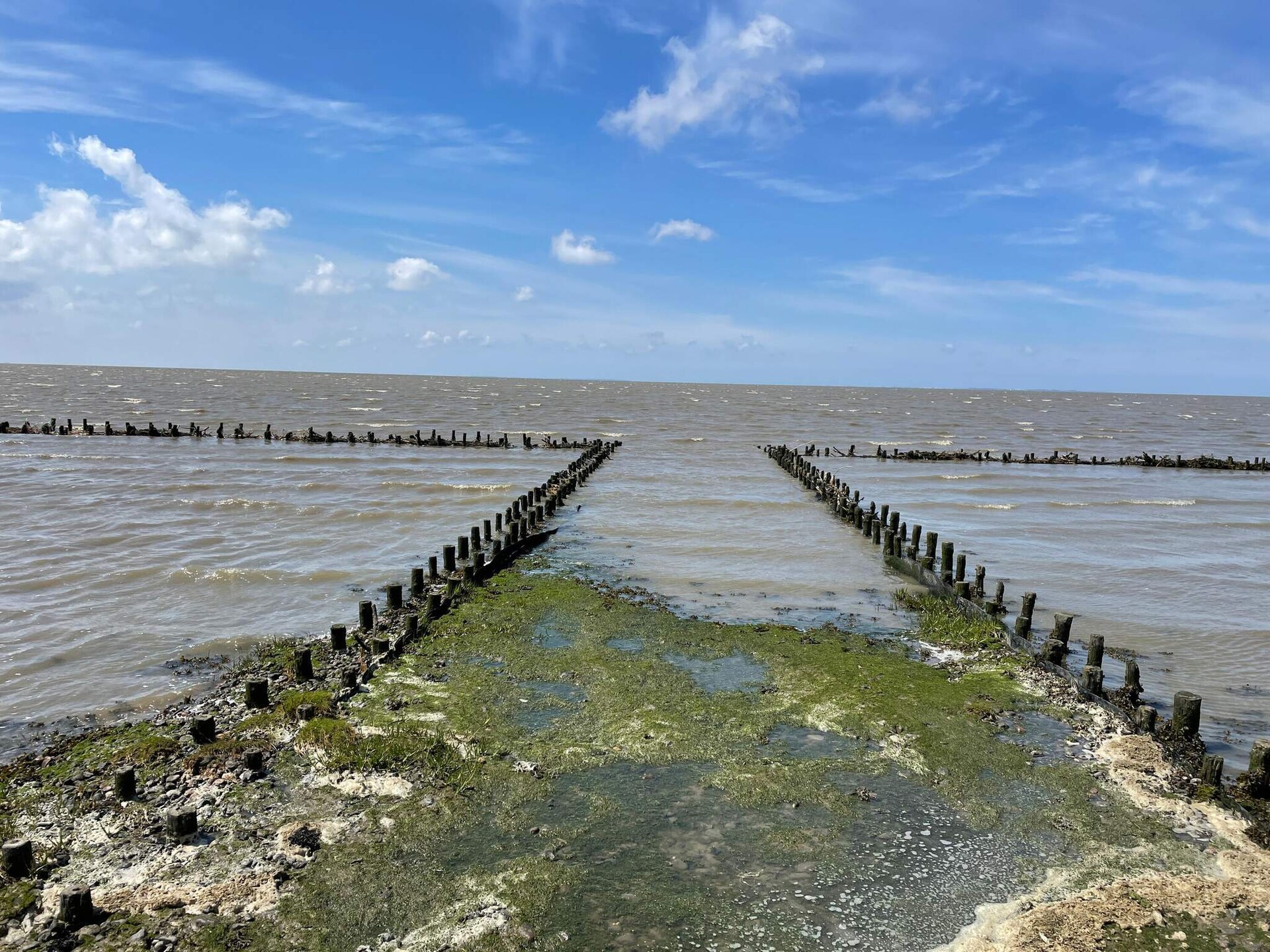 Vrijstaand vakantiehuis met panoramisch uitzicht op het Waddenzee, 100m van zee - foto 14