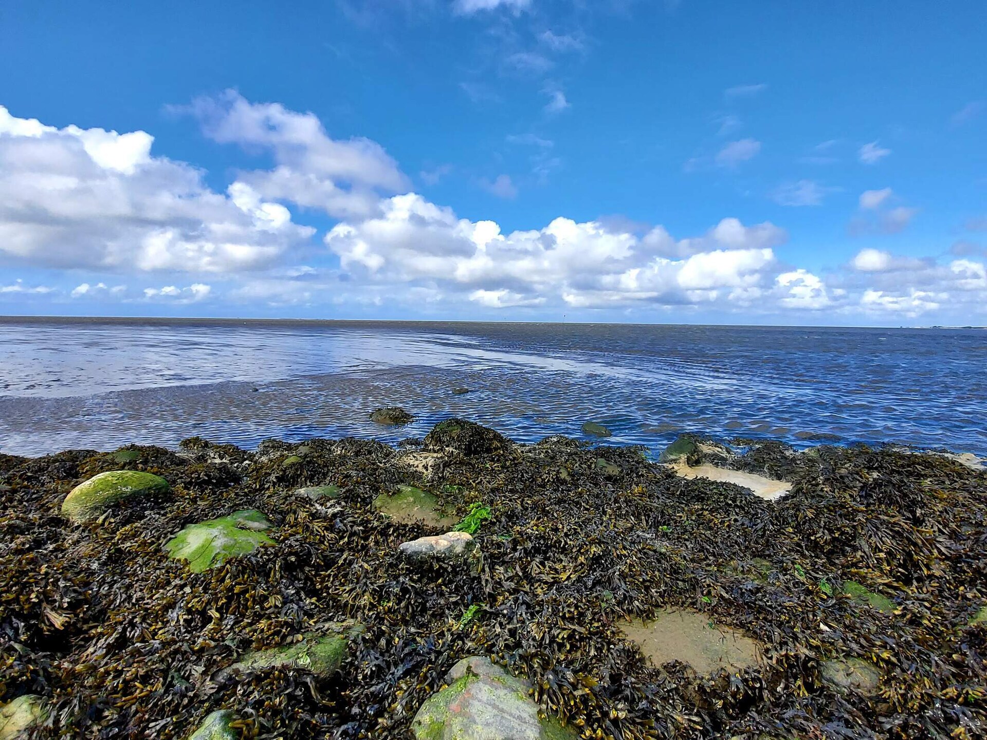 Vrijstaand vakantiehuis met panoramisch uitzicht op het Waddenzee, 100m van zee - foto 20