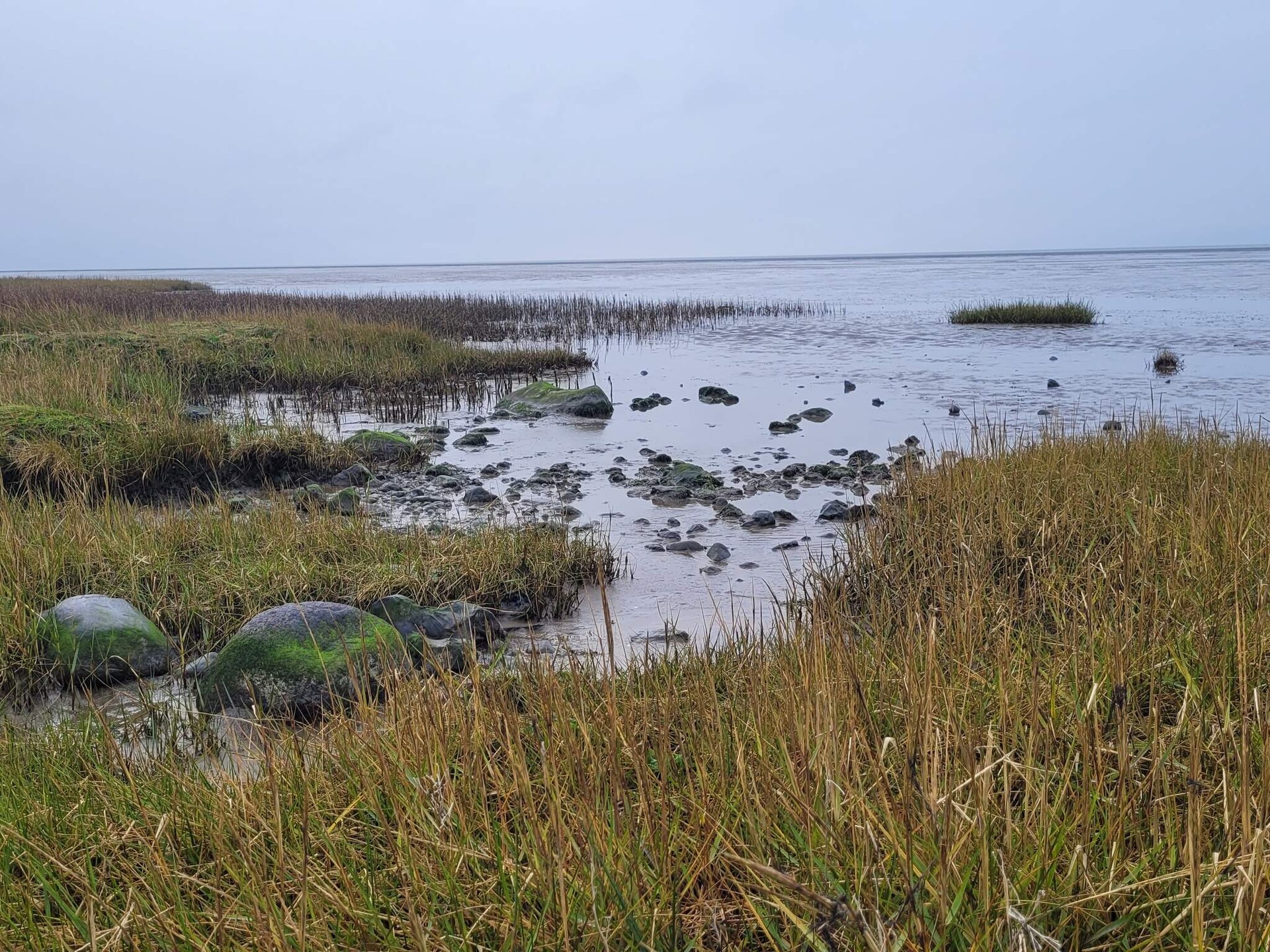 Vrijstaand vakantiehuis met panoramisch uitzicht op het Waddenzee, 100m van zee - foto 21