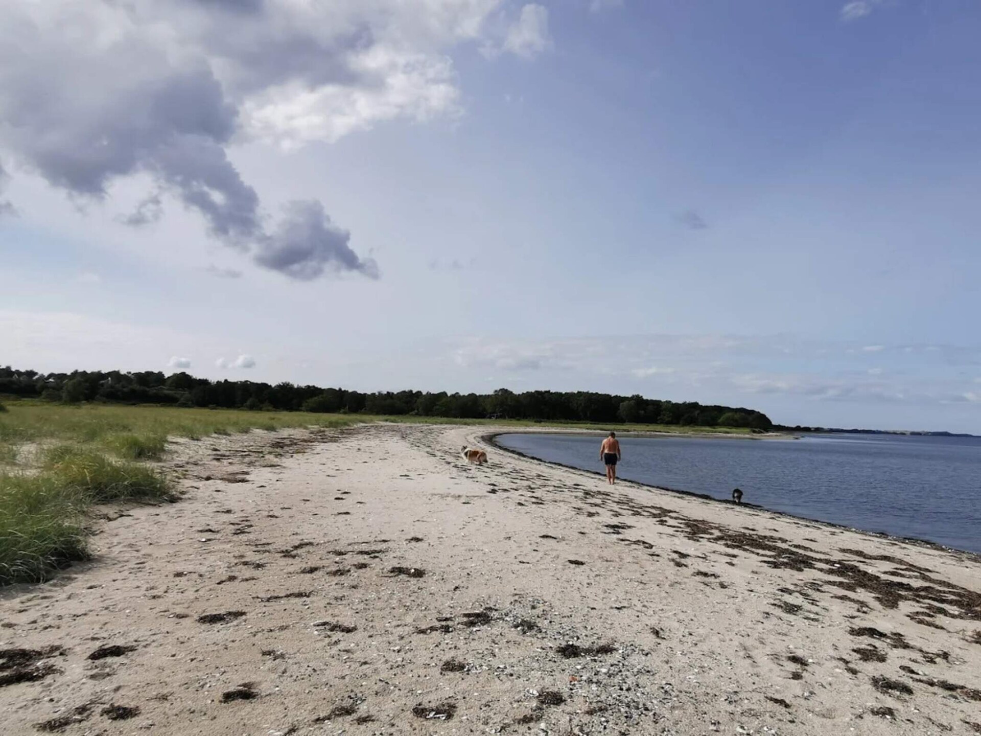 Aan zee: Rustgevend vakantiehuis in Roslev voor 5 personen - foto 21