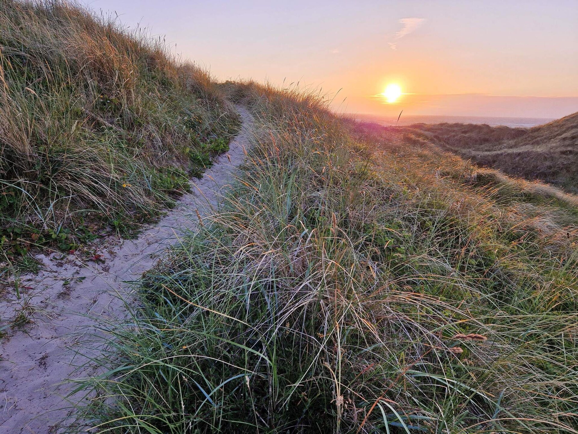 Licht modern vakantiehuis met whirlpool op 1,2 km van zee in Hirtshals - foto 3