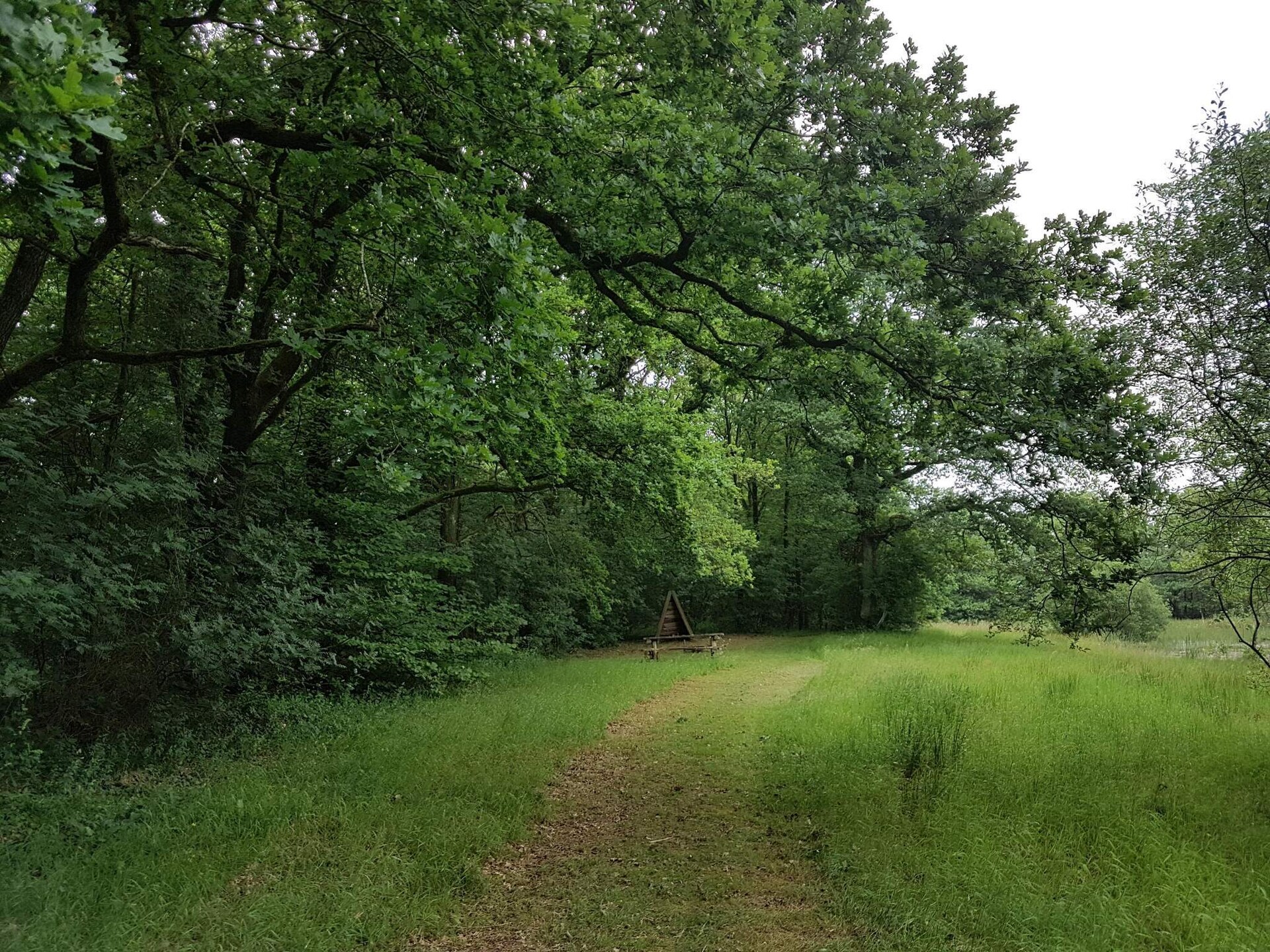 Vrijstaand Deens vakantiehuis op natuurperceel bij Toftlund, 6 personen - foto 7