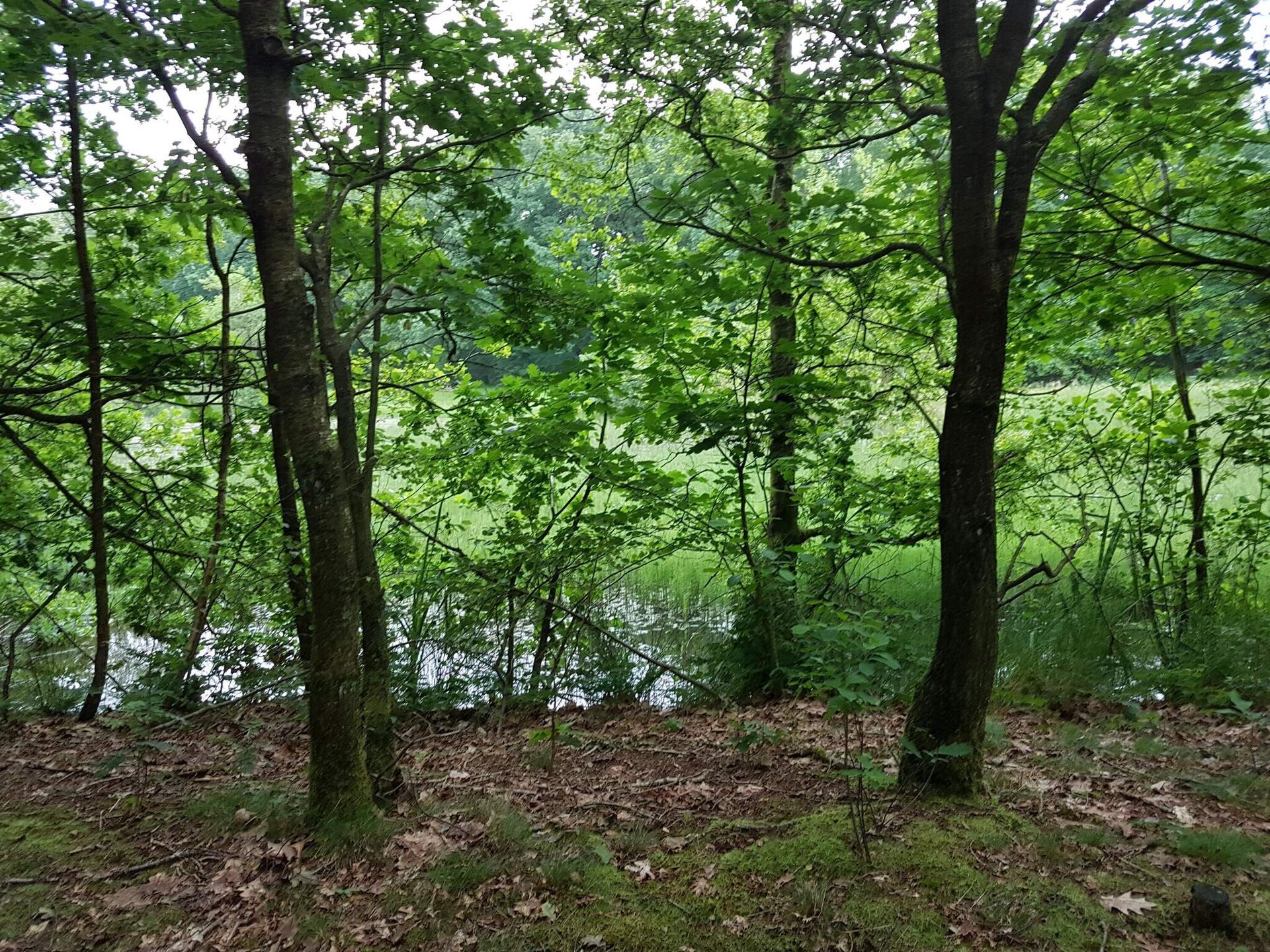 Vrijstaand Deens vakantiehuis op natuurperceel bij Toftlund, 6 personen - foto 8
