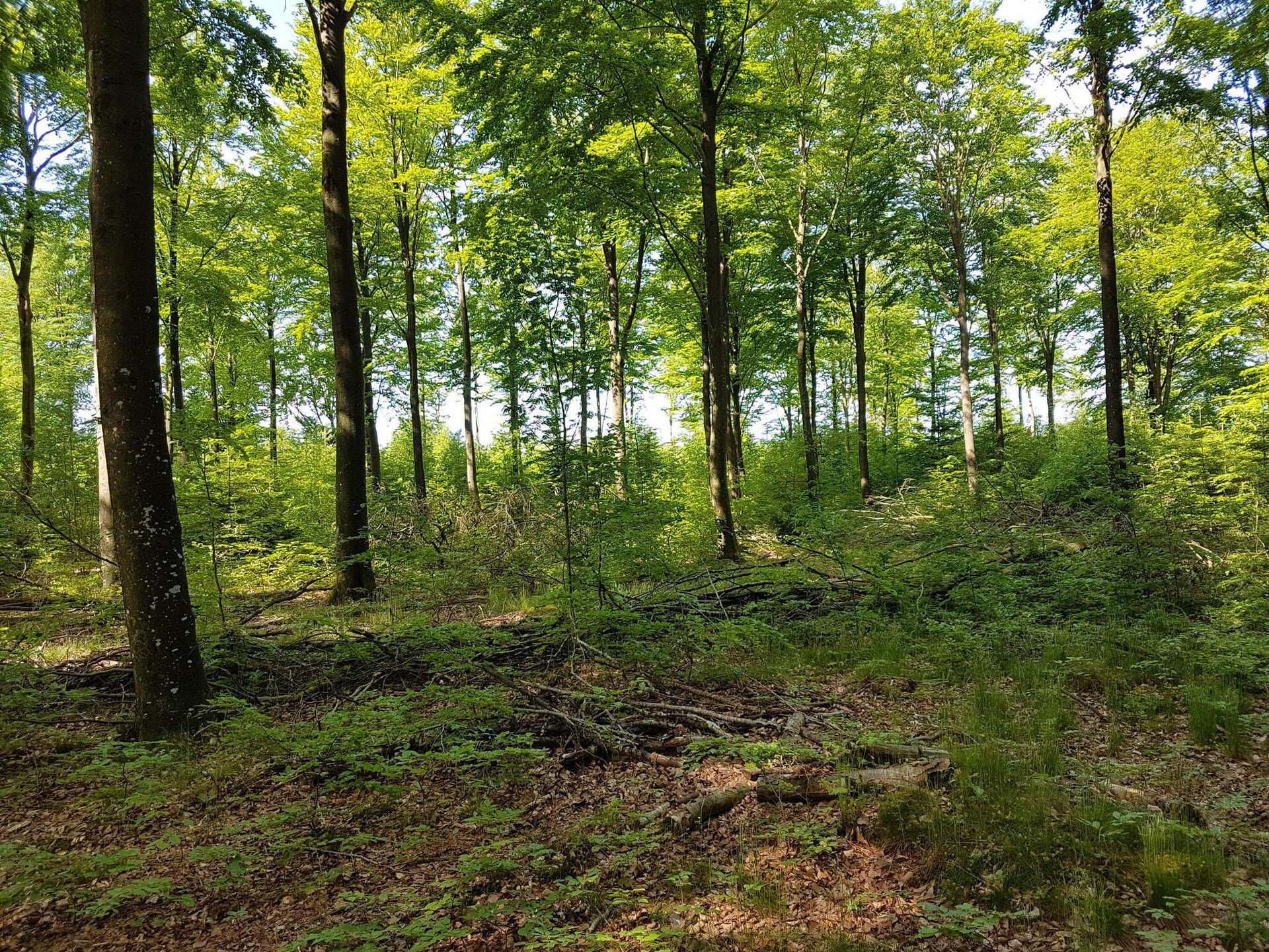 Vrijstaand Deens vakantiehuis op natuurperceel bij Toftlund, 6 personen - foto 15