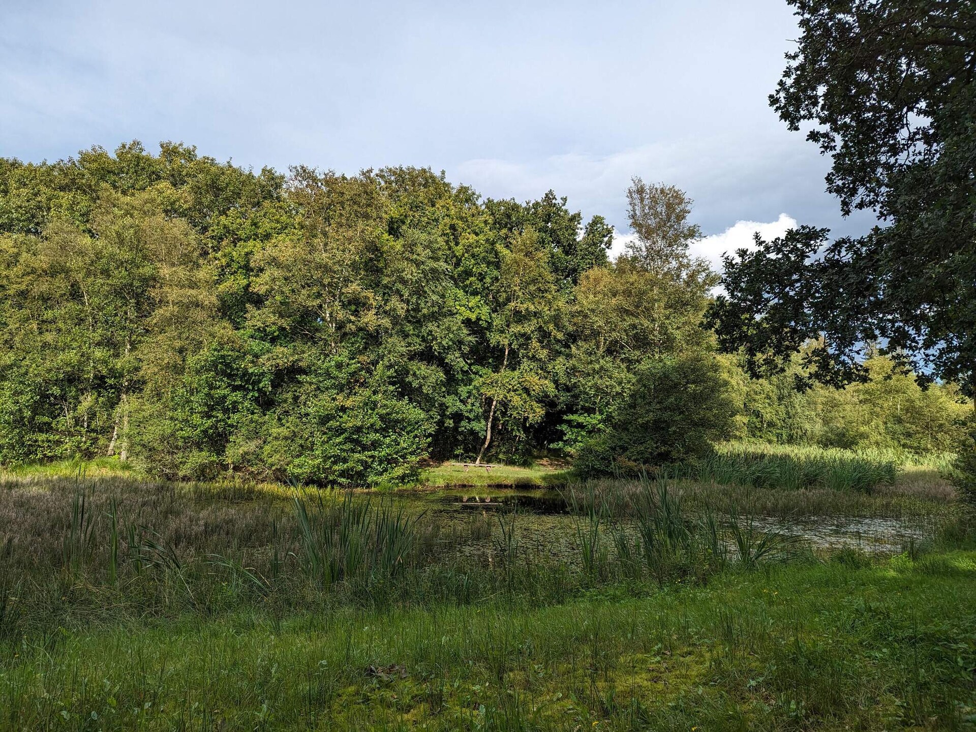 Vrijstaand Deens vakantiehuis op natuurperceel bij Toftlund, 6 personen - foto 19