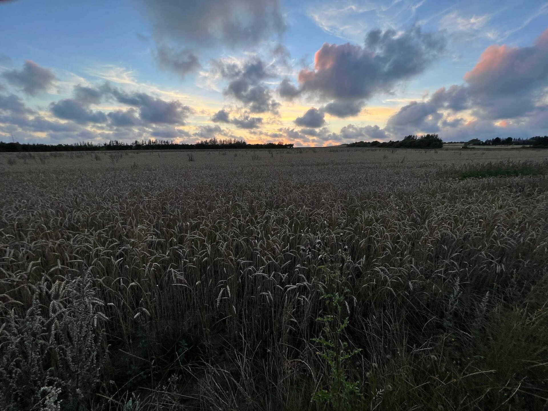 5-persoons vakantiehuis in Henne vlakbij de Noordzeekust - foto 5