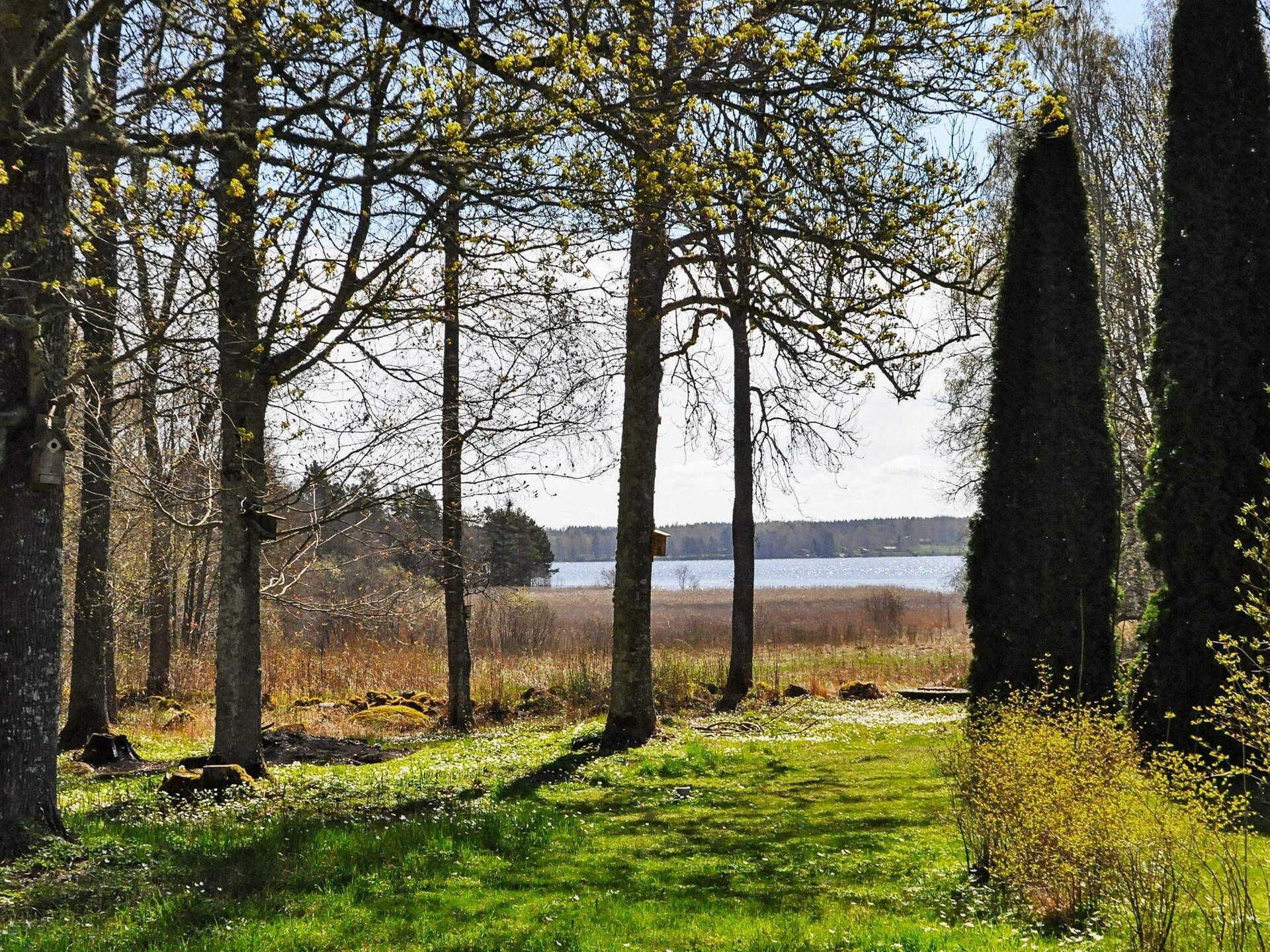 Vrijstaand vakantiehuis op bosperceel met privé zwemplek aan het Skagern meer - foto 2