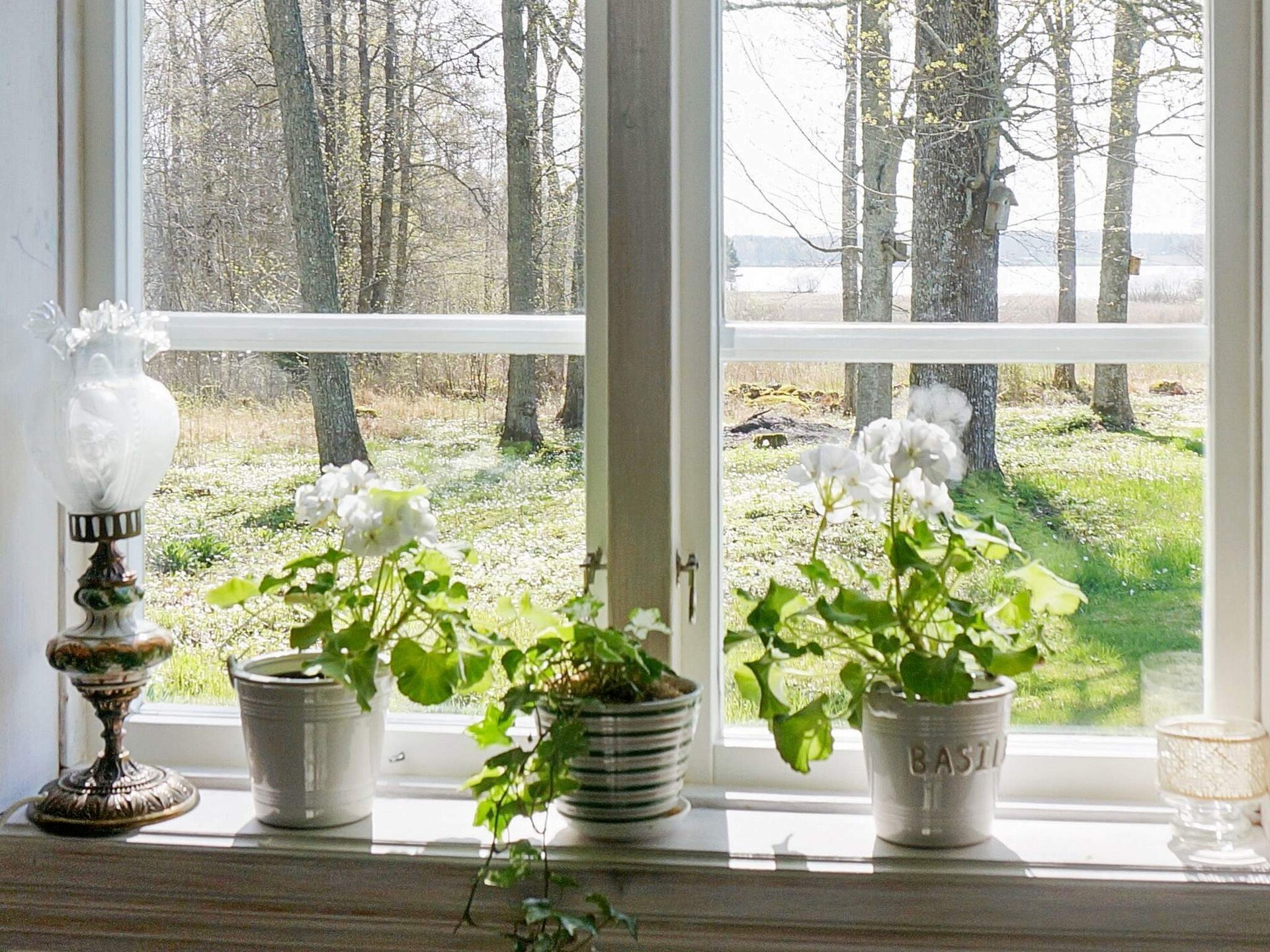 Vrijstaand vakantiehuis op bosperceel met privé zwemplek aan het Skagern meer - foto 18