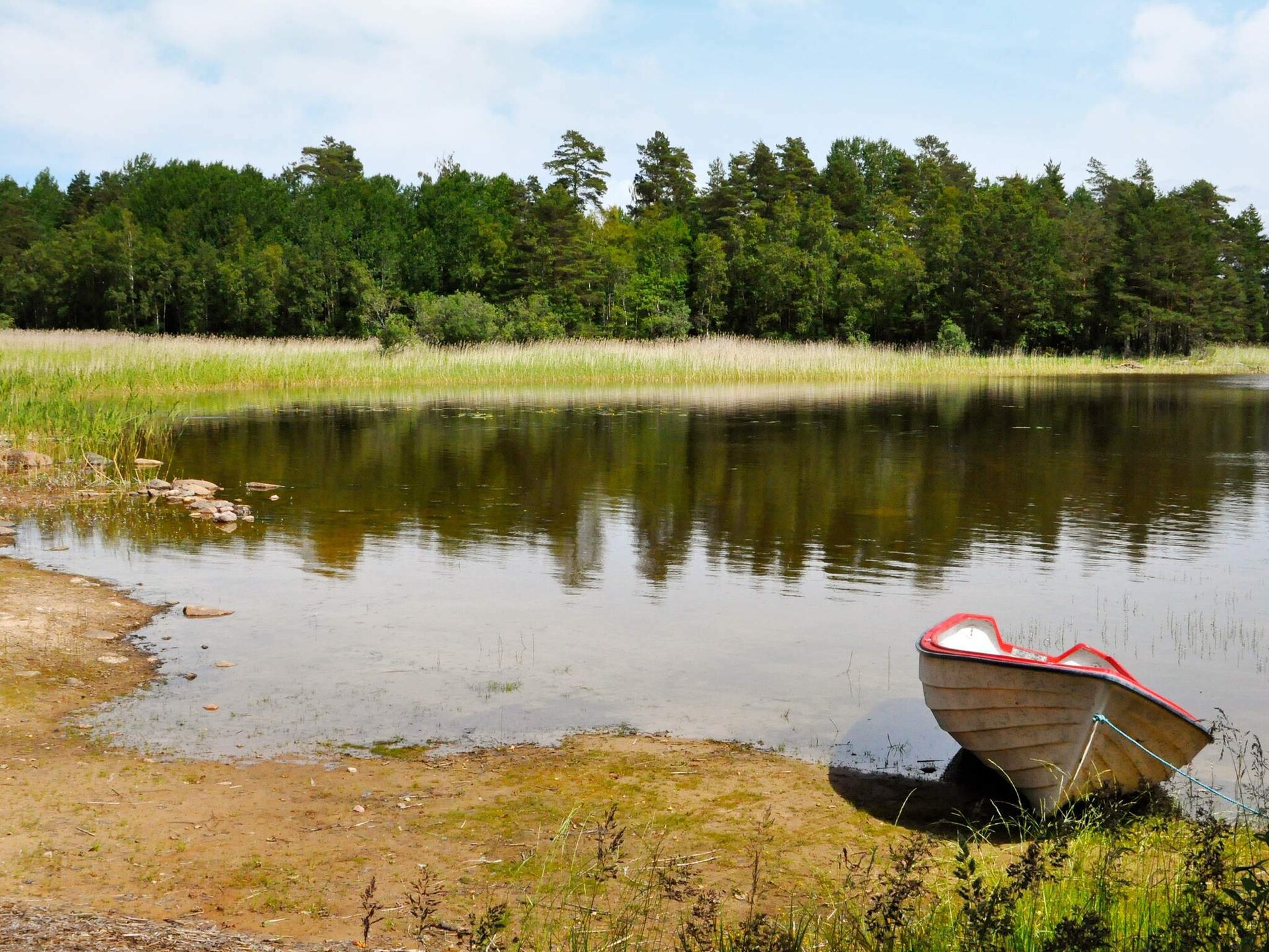 Vrijstaand vakantiehuis op bosperceel met privé zwemplek aan het Skagern meer - foto 23