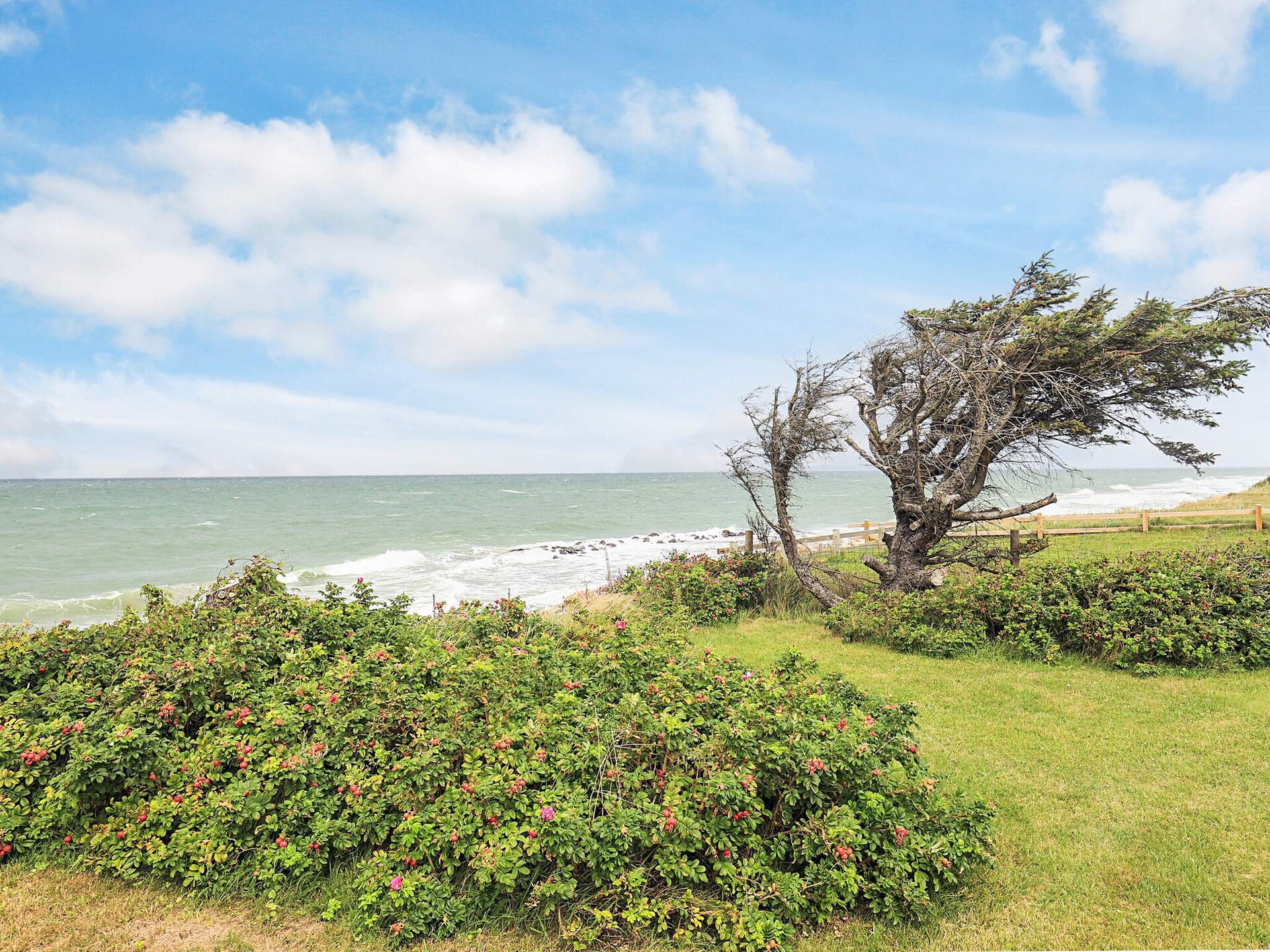 Vrijstaand vakantiehuis direct aan zee in Gilleleje met sauna en panoramisch uitzicht - foto 15