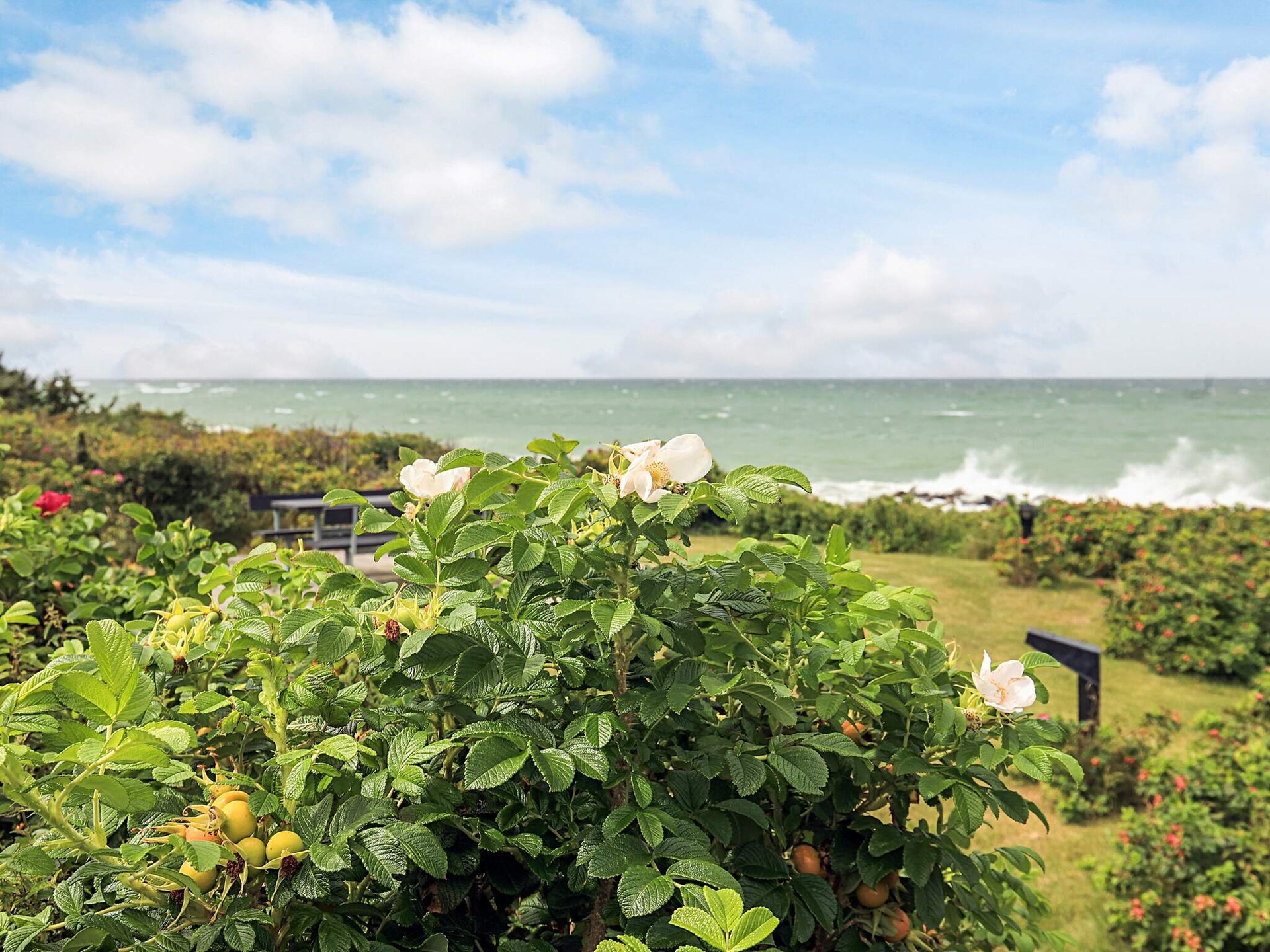 Vrijstaand vakantiehuis direct aan zee in Gilleleje met sauna en panoramisch uitzicht - foto 16