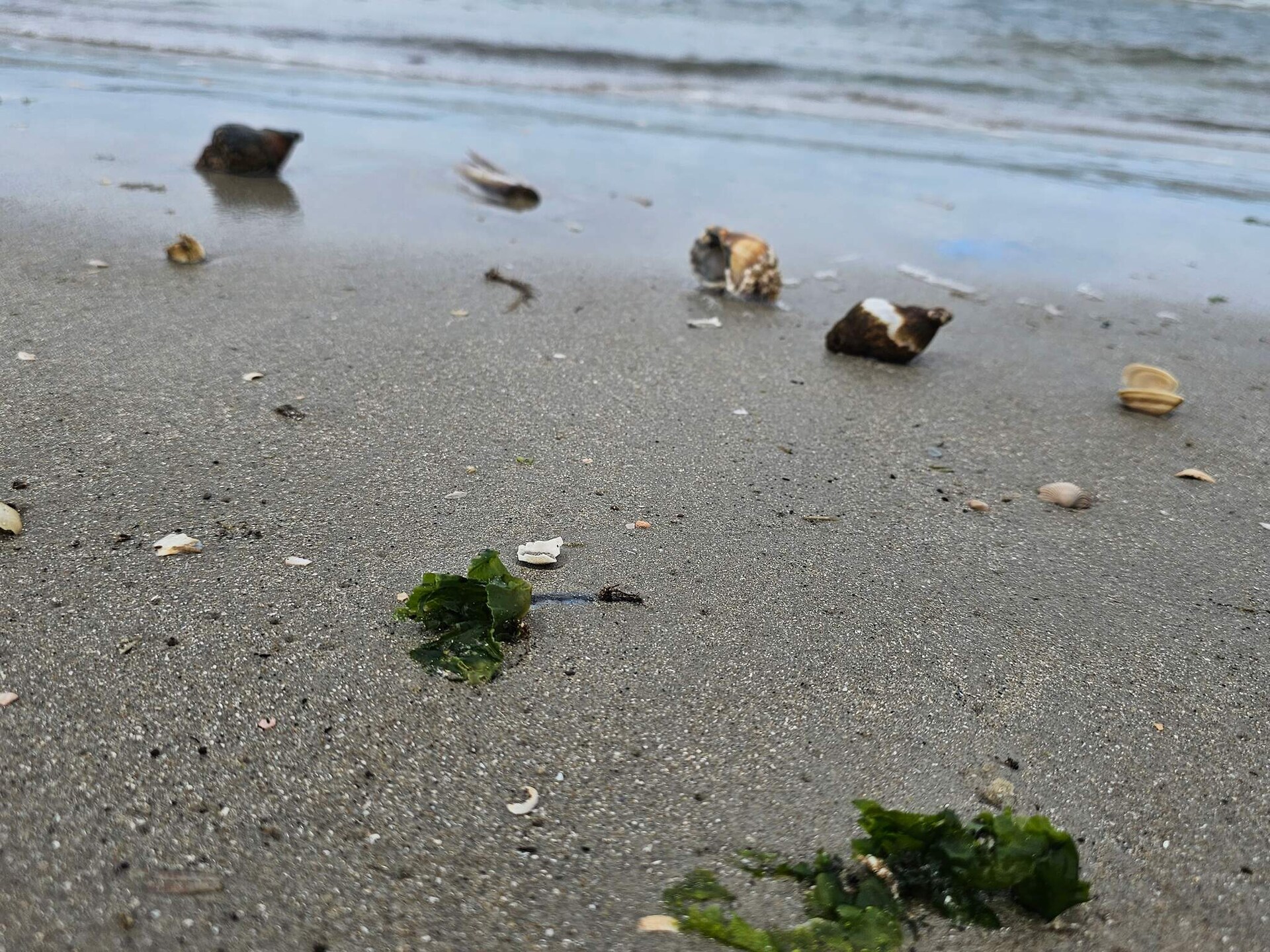 Luxe vakantiehuis met sauna, whirlpool en zeezicht op 250 meter van strand Fanø - foto 13