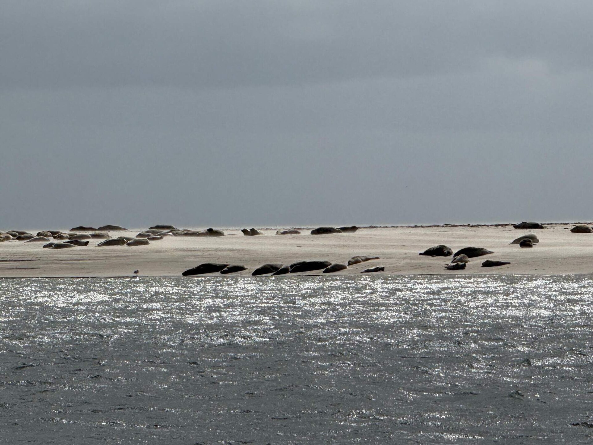 Luxe vakantiehuis met sauna, whirlpool en zeezicht op 250 meter van strand Fanø - foto 15