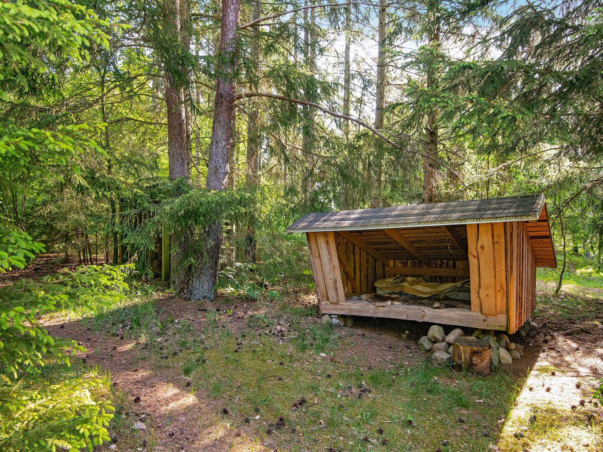 Bosrijke oase bij Bryrup: knus huis voor 4 met houtgestookte sauna - foto 25