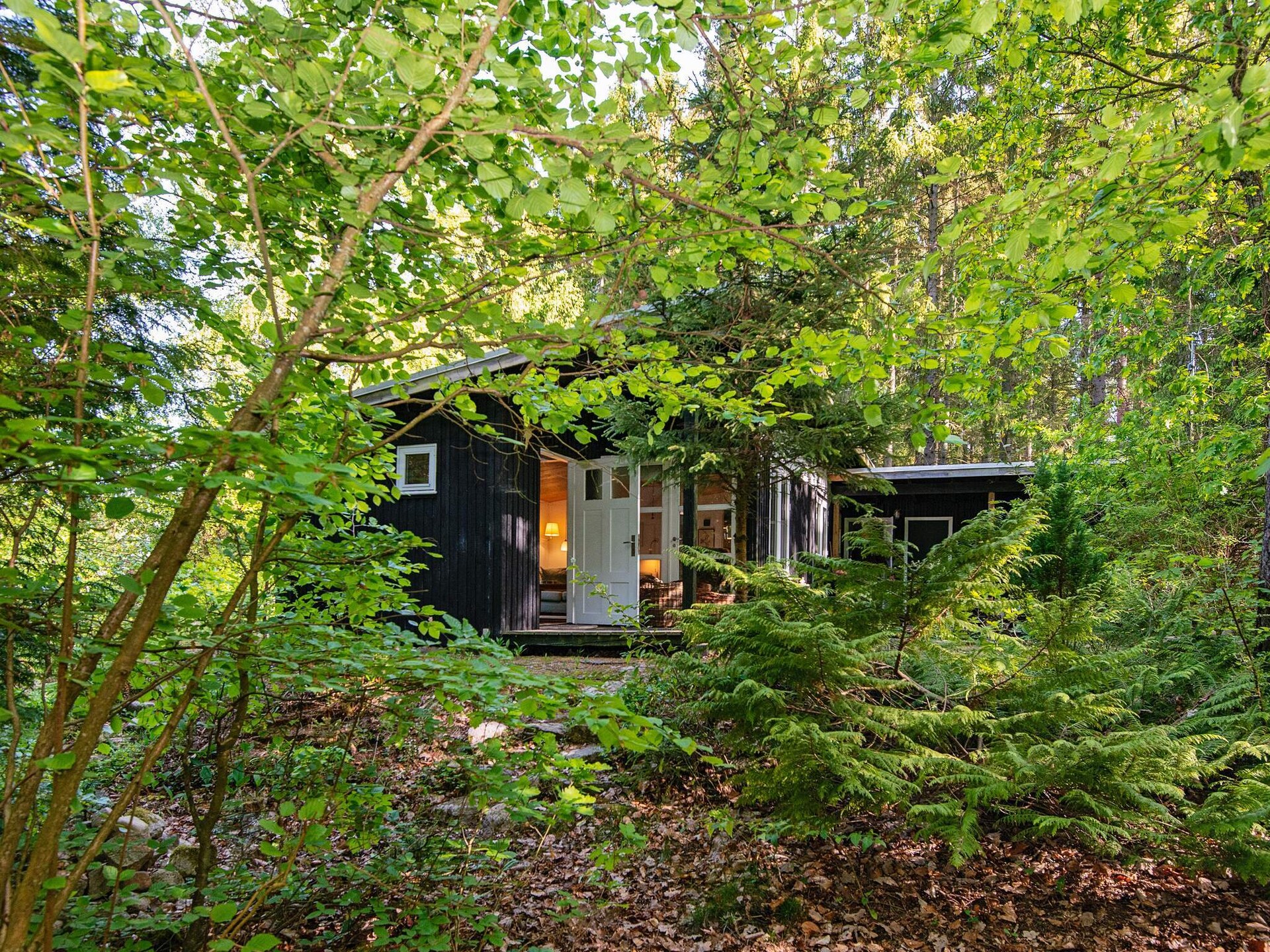 Bosrijke oase bij Bryrup: knus huis voor 4 met houtgestookte sauna - foto 29