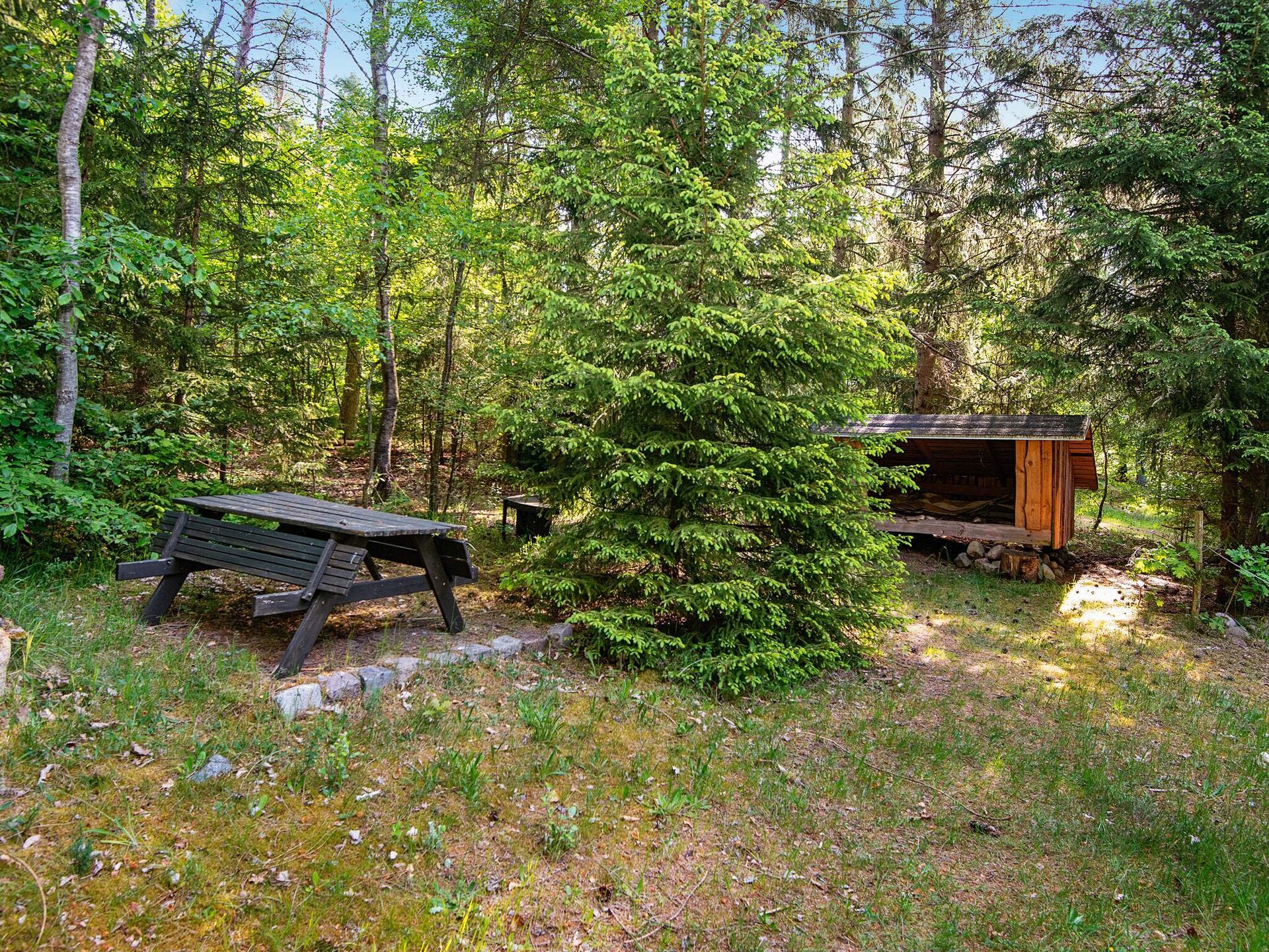 Bosrijke oase bij Bryrup: knus huis voor 4 met houtgestookte sauna - foto 30