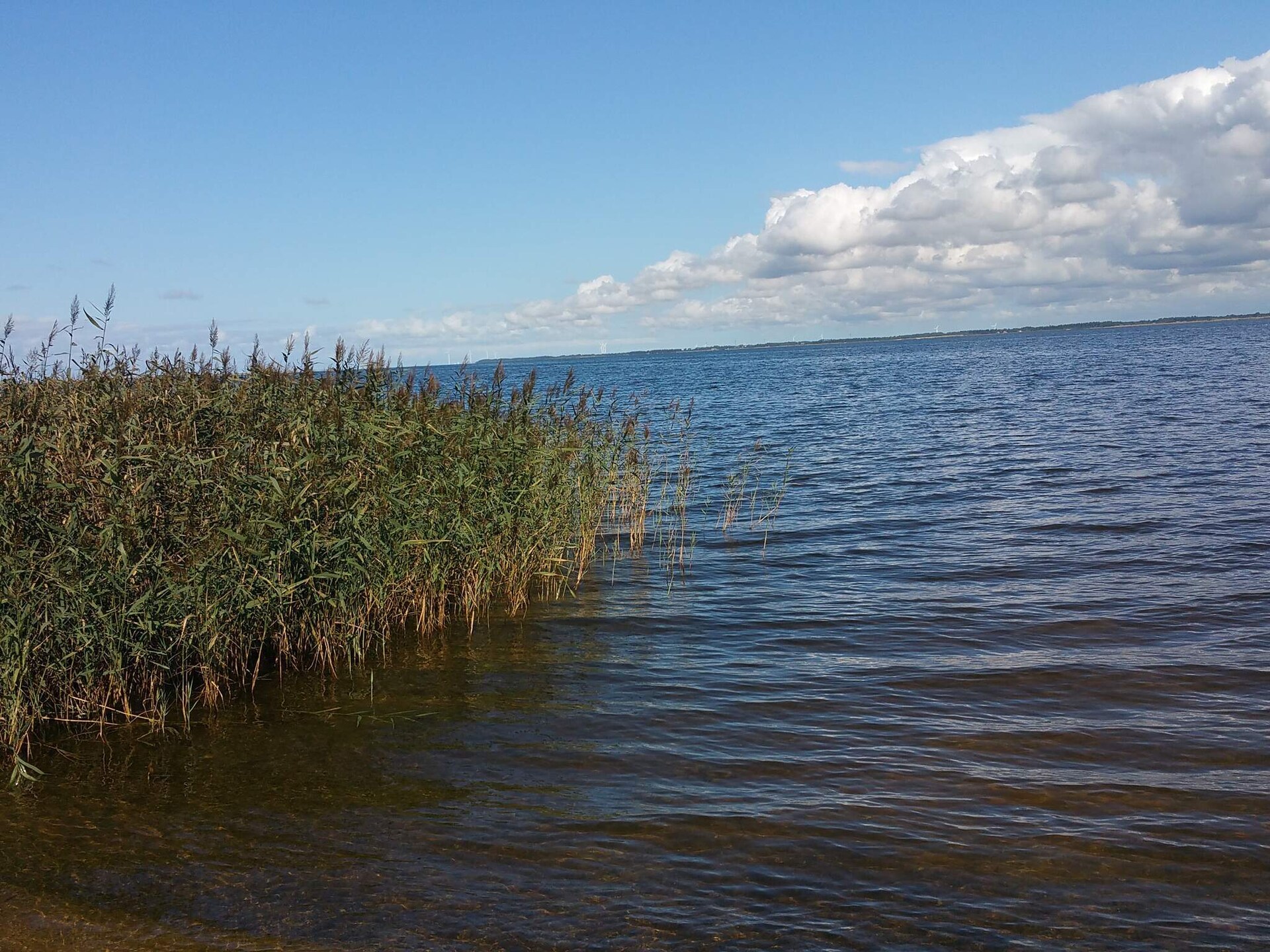 Vrijstaand vakantiehuis met sauna bij Nissum Fjord, 400m van zee - foto 5