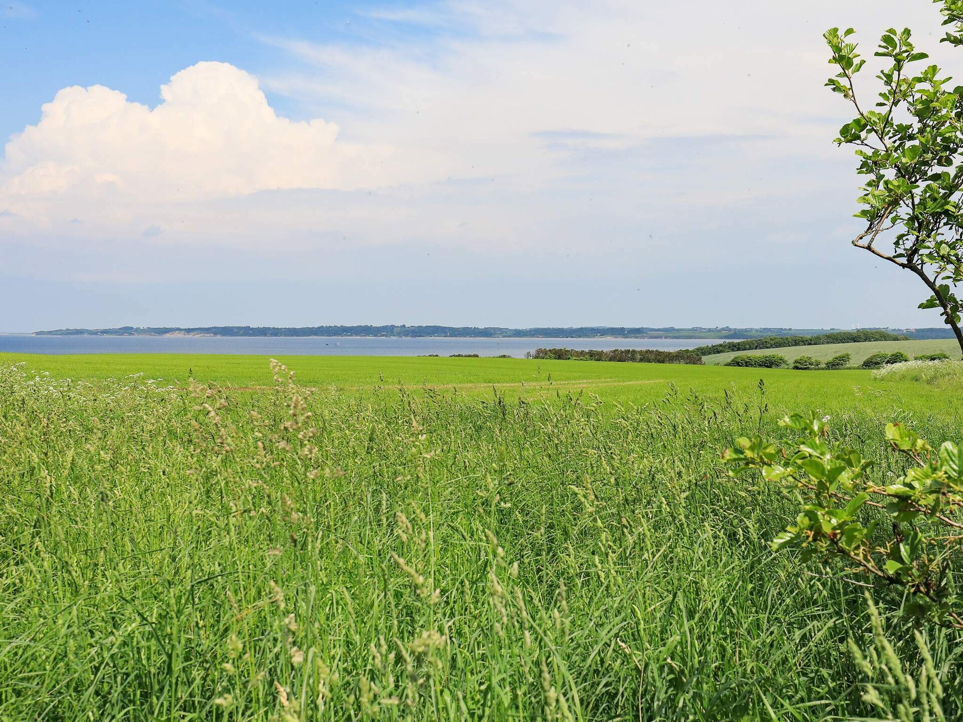 Groot vakantiehuis met panoramisch uitzicht op de Limfjord en privézwembad - foto 3