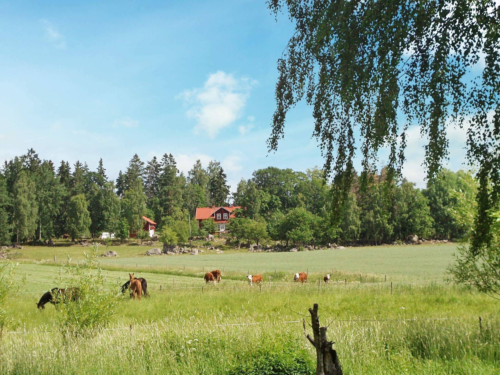 Ruim herenhuis voor 11 personen aan de golfbaan in Stora Sundby - foto 30