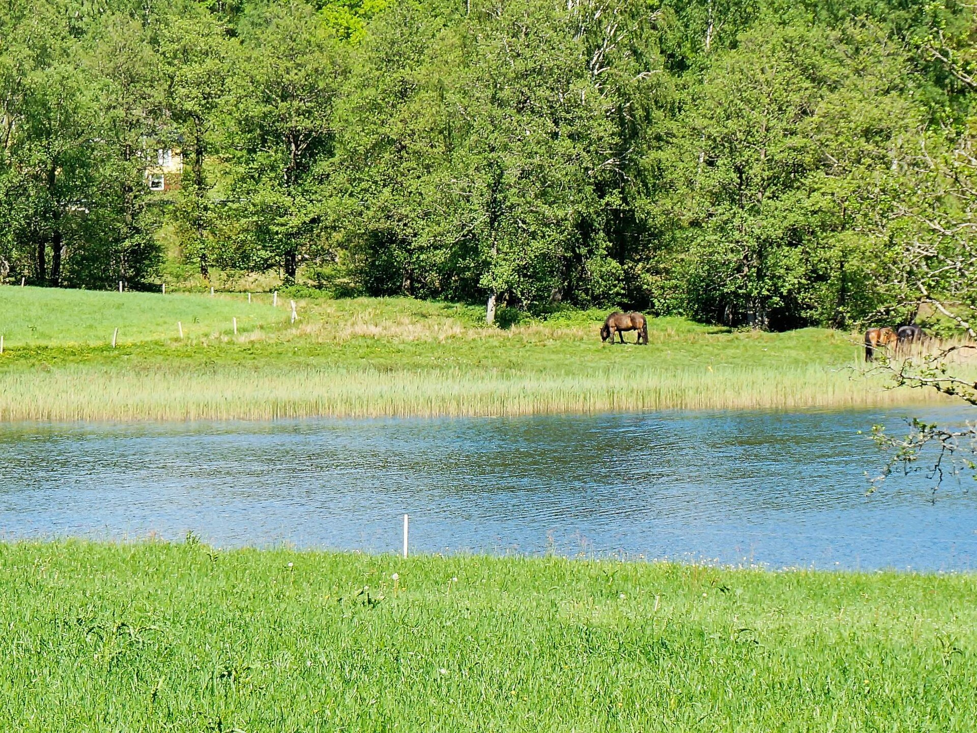 Vrijstaand vakantiehuis met meerzicht op 150m van het water in Ullared - foto 17