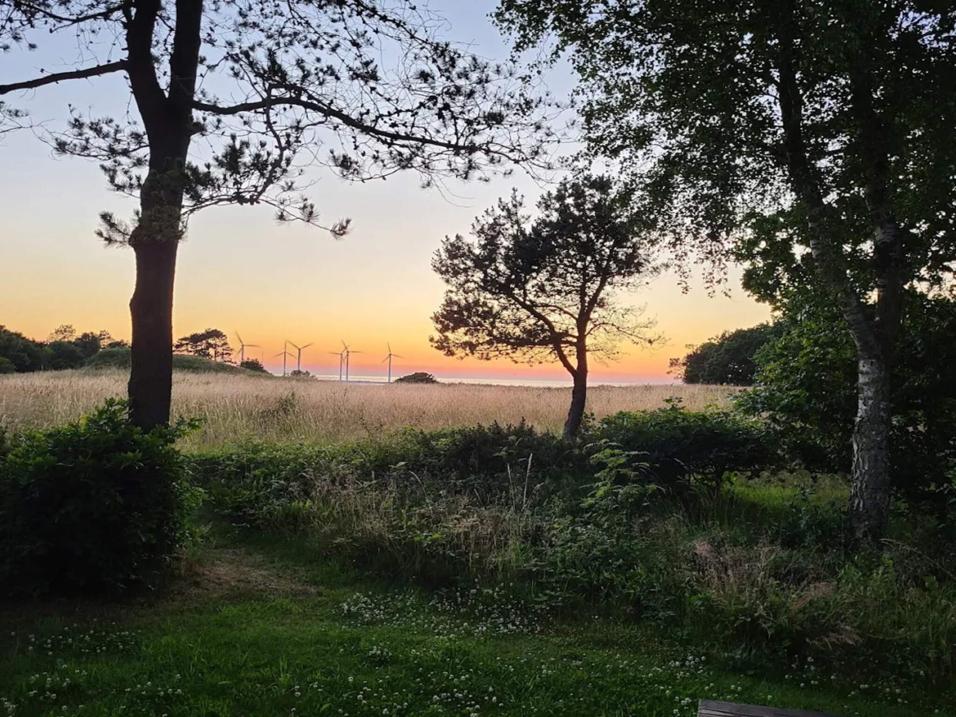 Vrijstaand vakantiehuis met Kattegat-uitzicht op 200m van zee in Glesborg - foto 3