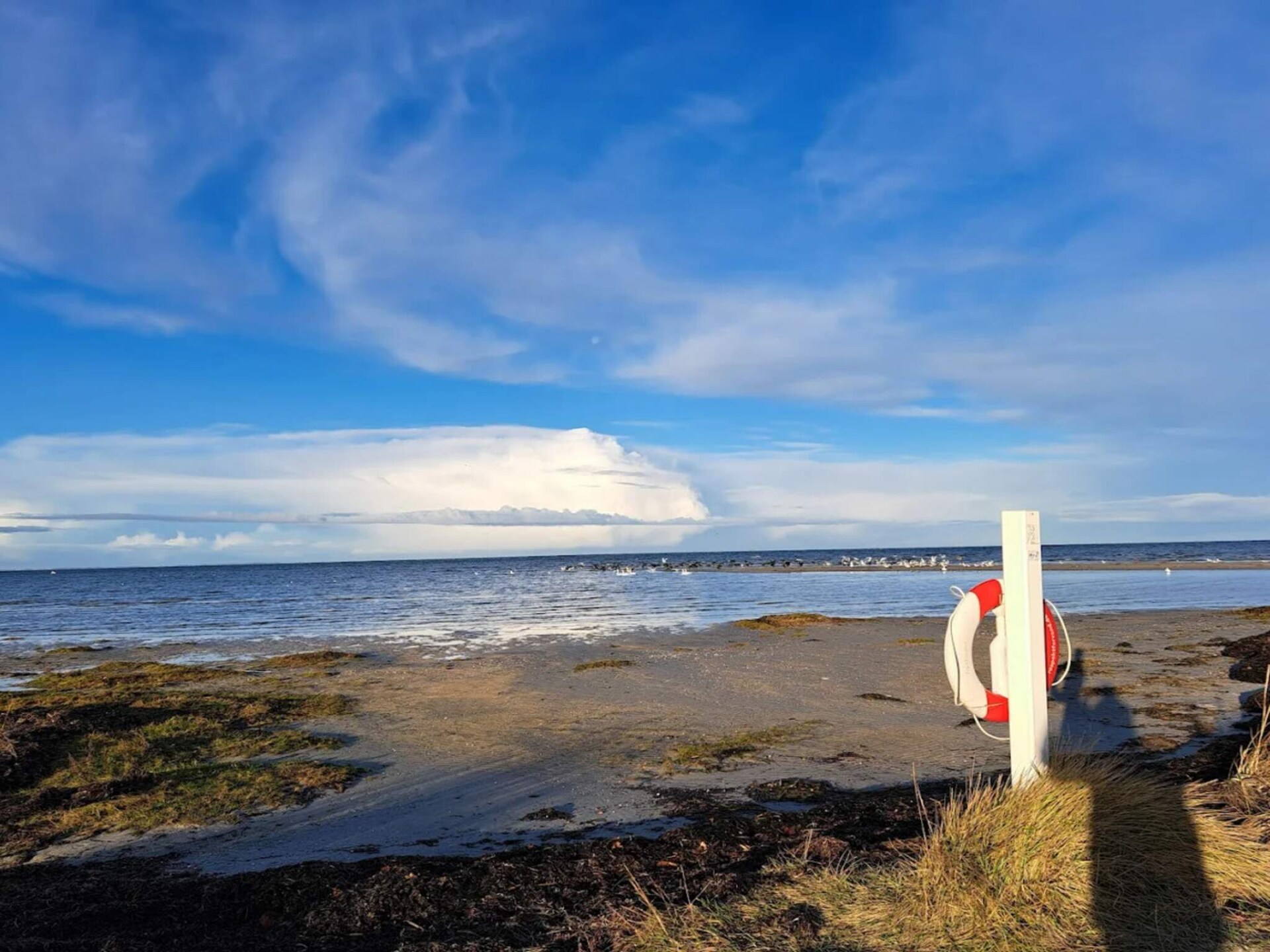 Vrijstaand vakantiehuis met Kattegat-uitzicht op 200m van zee in Glesborg - foto 11