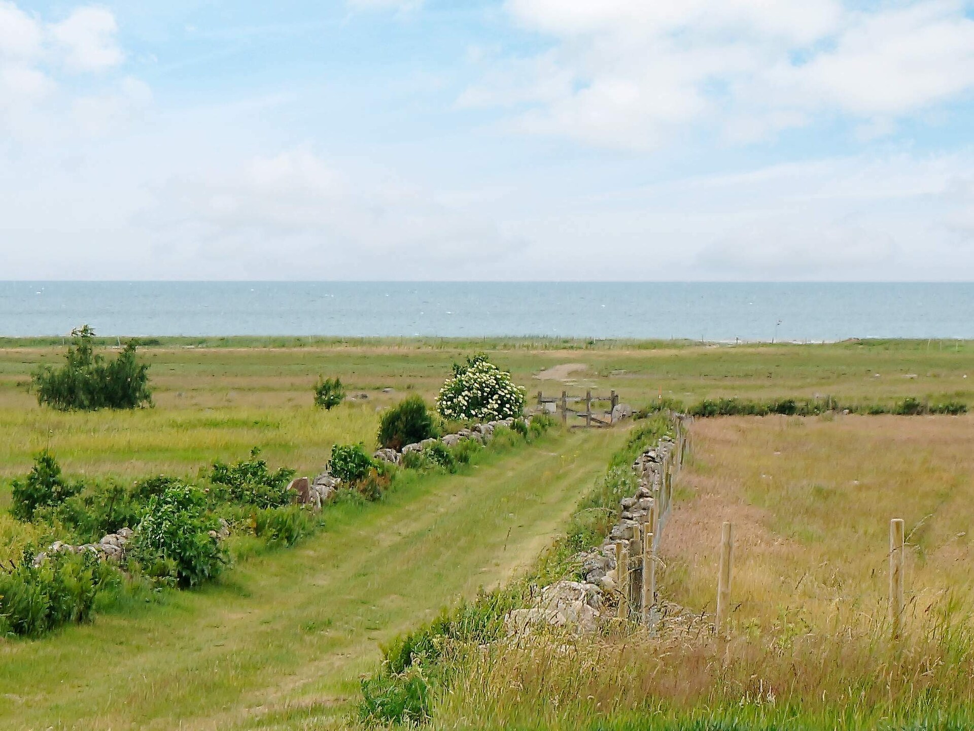 Sfeervol vakantiehuis aan de Zweedse golfkust, vlakbij zee en strand - foto 7