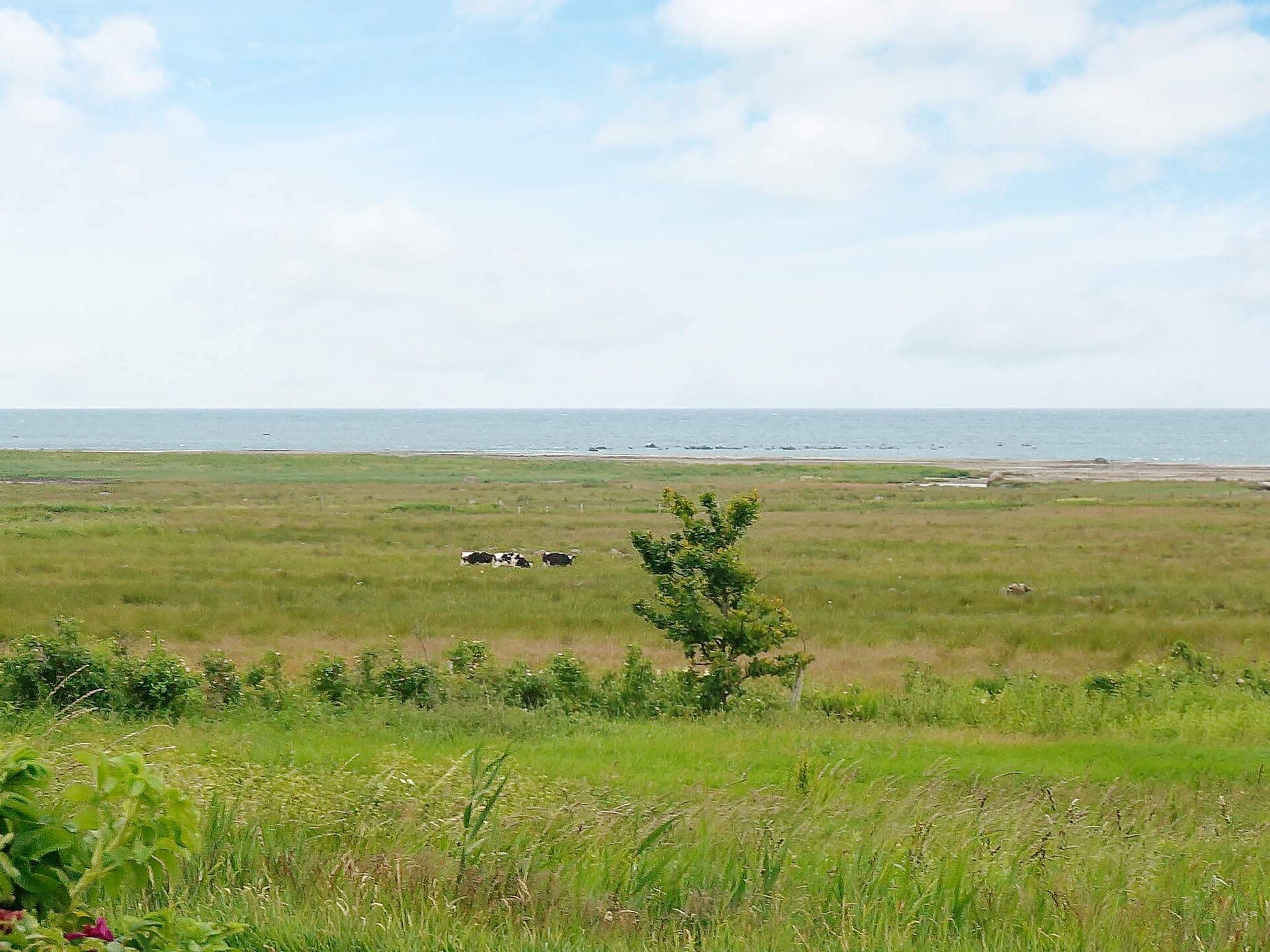 Sfeervol vakantiehuis aan de Zweedse golfkust, vlakbij zee en strand - foto 17