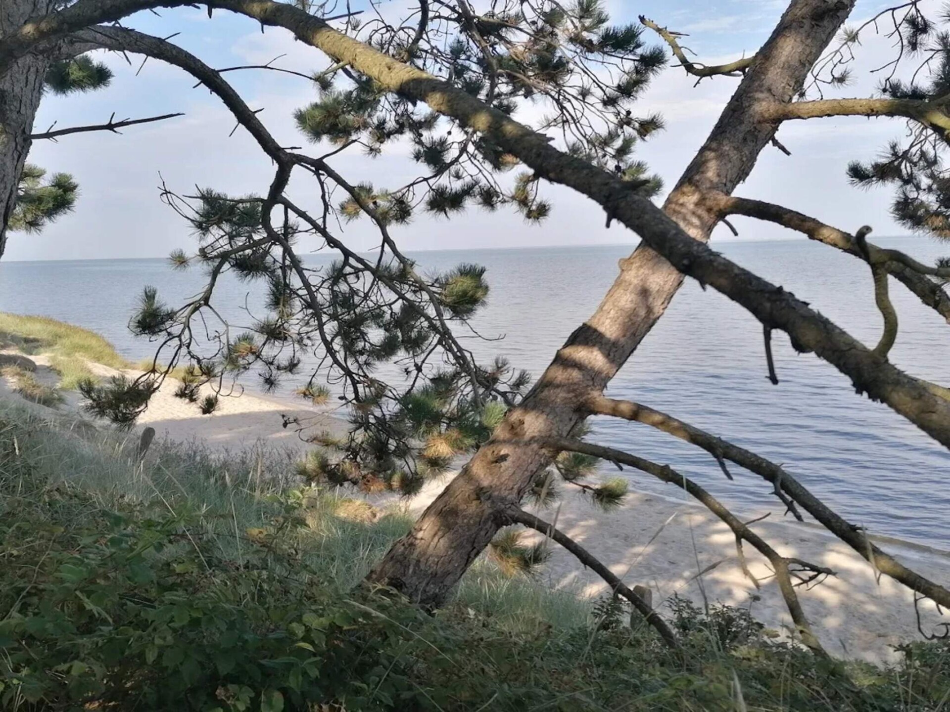 Historisch vakantiehuis uit 1784 op Rømø, 3,5 km van zee - foto 9