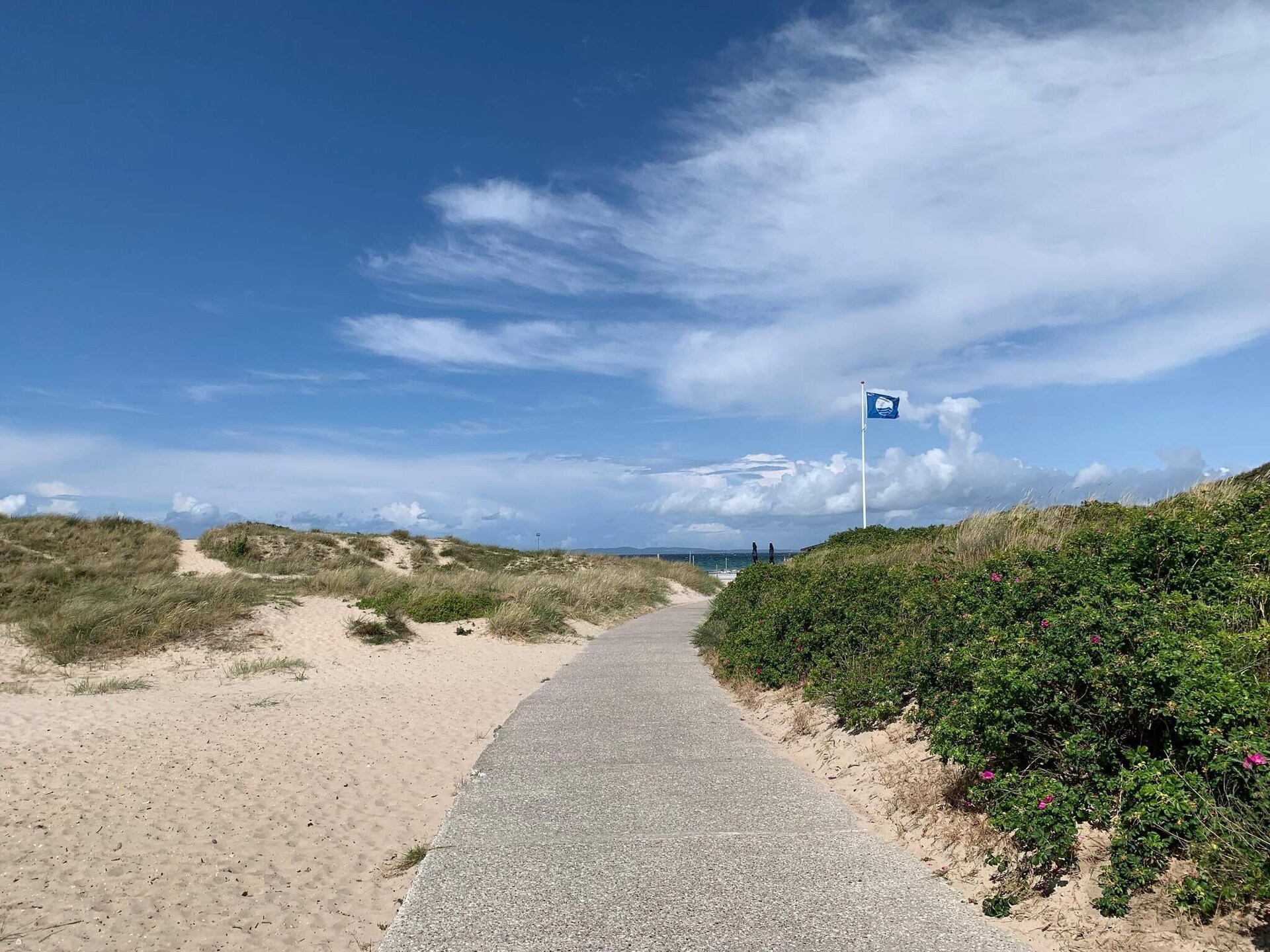 Ruim vakantiehuis voor 14 personen met zwembad, sauna en activiteitenruimte op 900m van zee in Hornbæk - foto 2