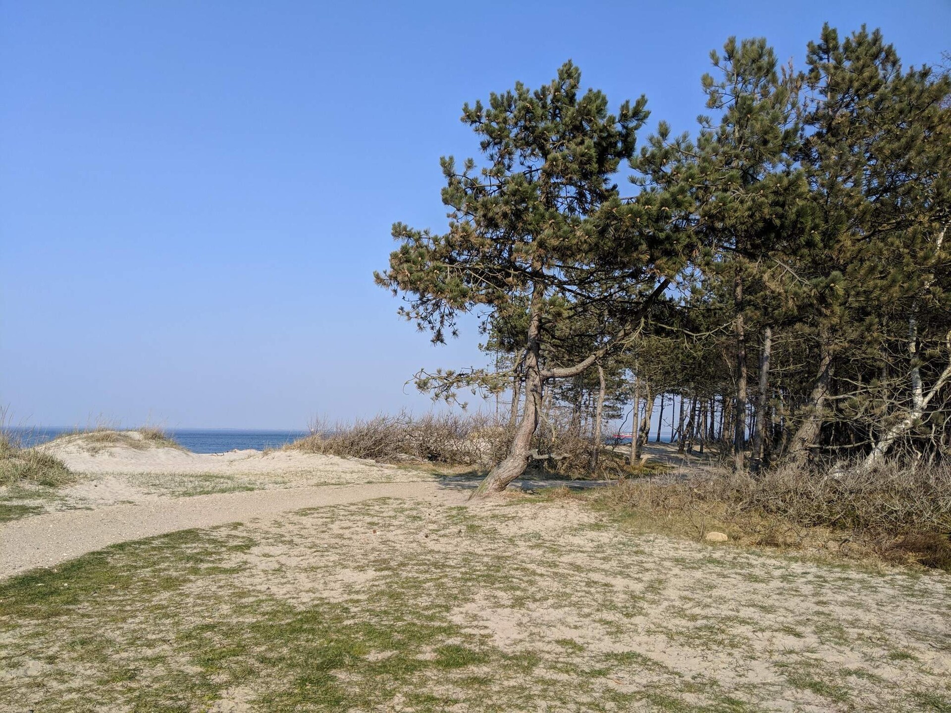 Ruim vakantiehuis voor 14 personen met zwembad, sauna en activiteitenruimte op 900m van zee in Hornbæk - foto 3