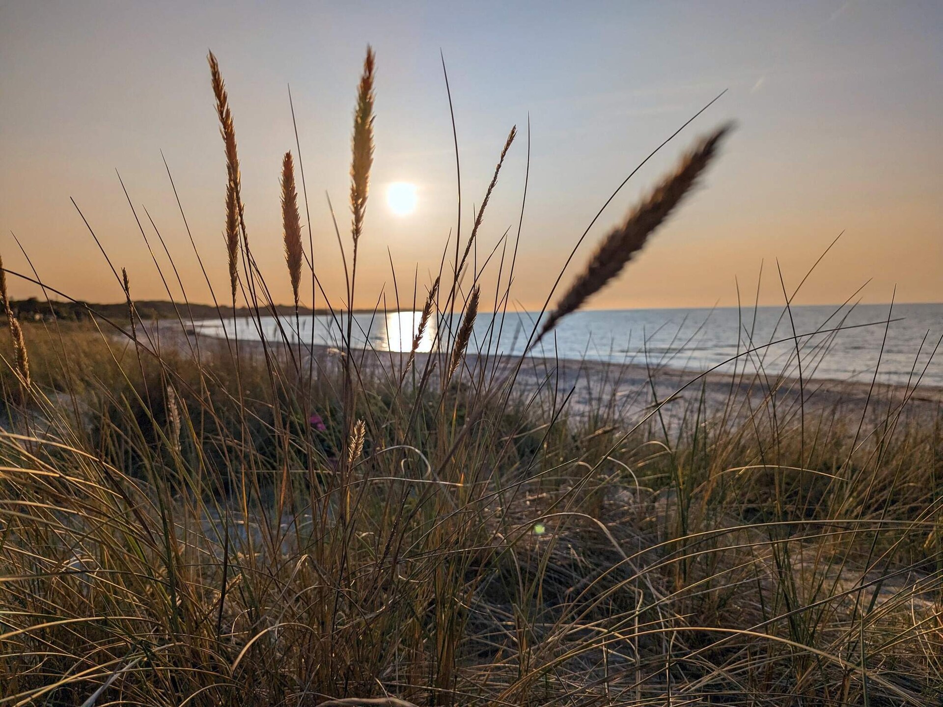 Ruim vakantiehuis voor 14 personen met zwembad, sauna en activiteitenruimte op 900m van zee in Hornbæk - foto 22