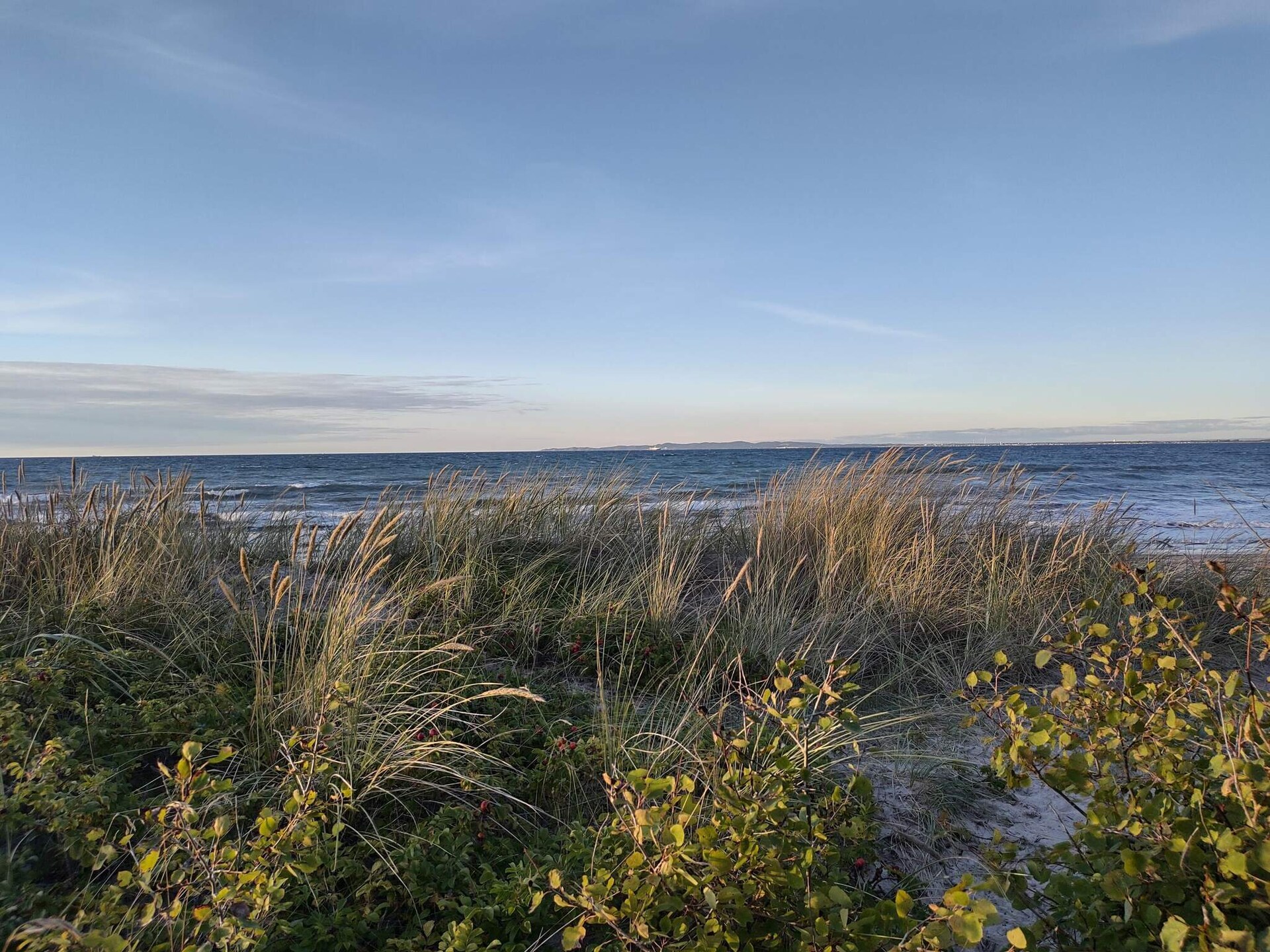 Ruim vakantiehuis voor 14 personen met zwembad, sauna en activiteitenruimte op 900m van zee in Hornbæk - foto 23