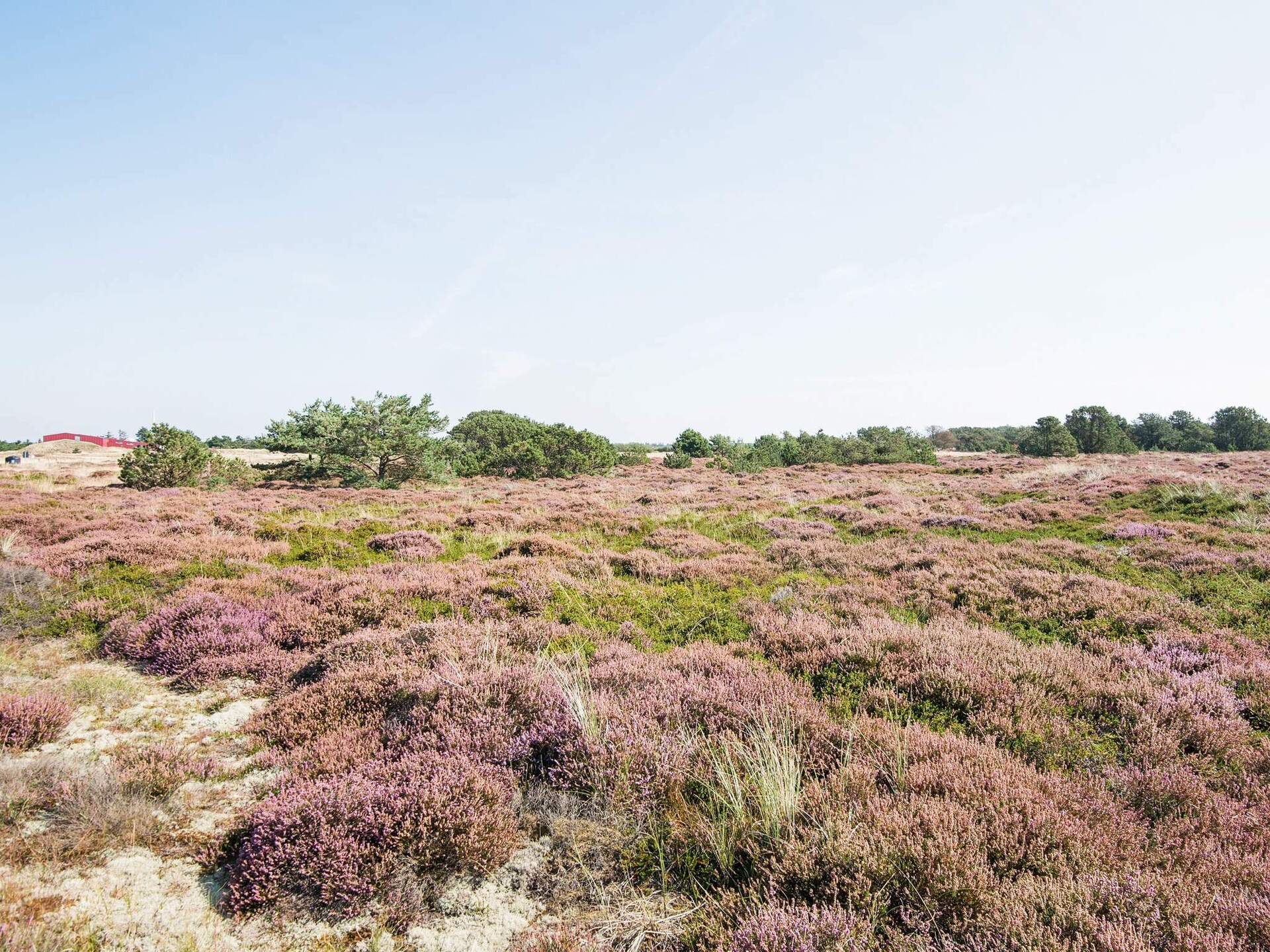 Knus vrijstaand vakantiehuis op Fanø, vlakbij zee en natuur - foto 44