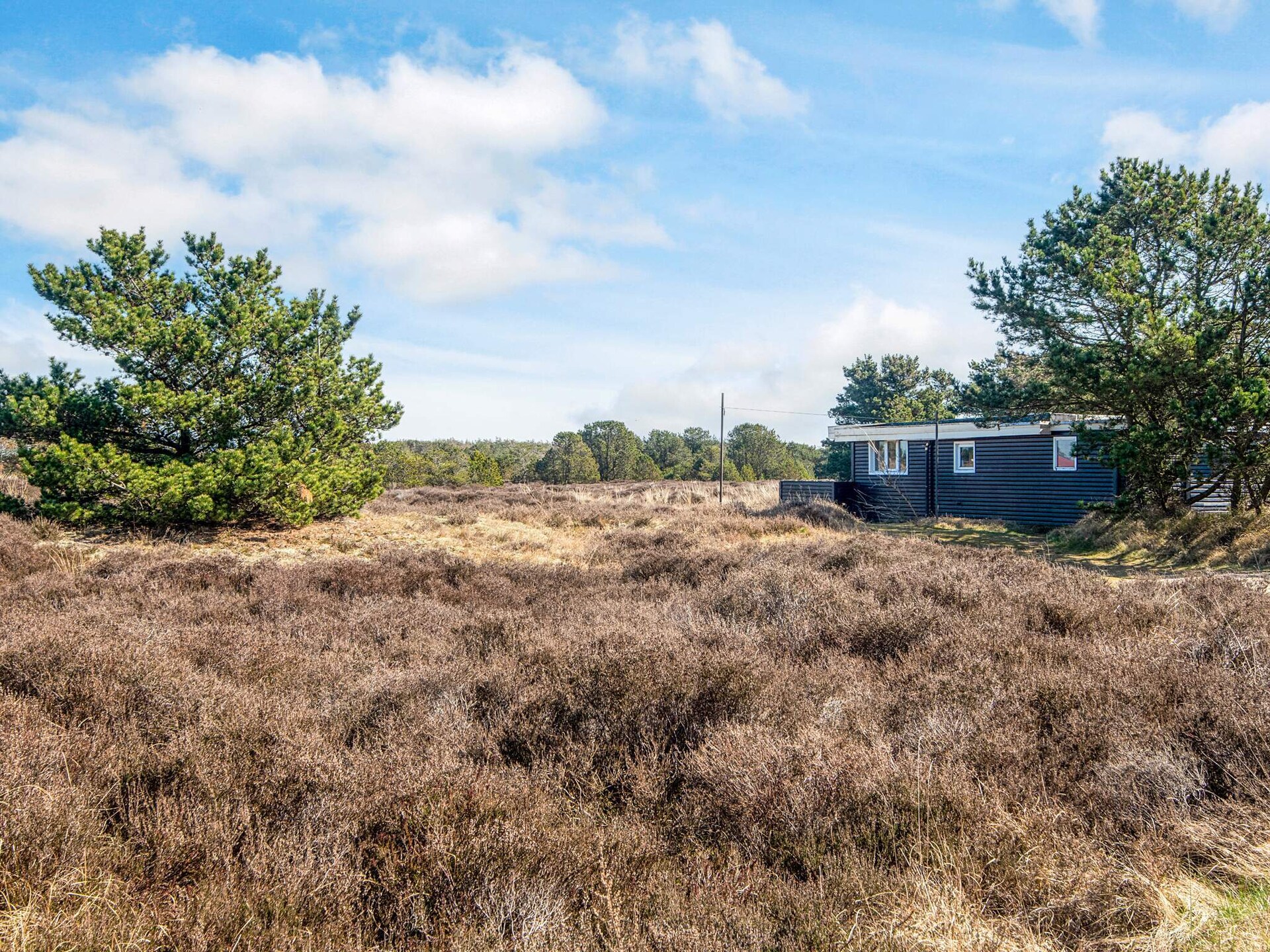 Knus vrijstaand vakantiehuis op Fanø, vlakbij zee en natuur - foto 45
