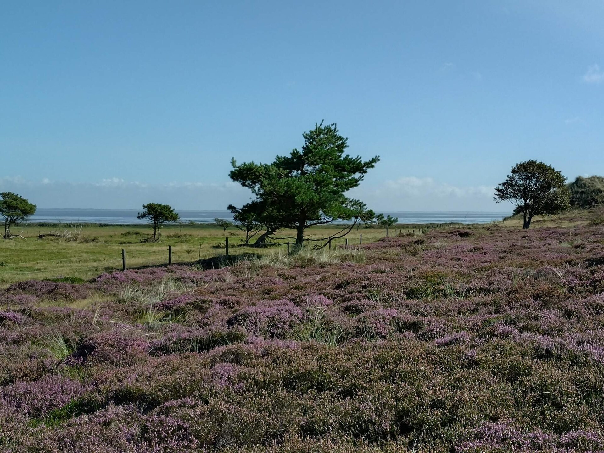 Knus vrijstaand vakantiehuis op Fanø, vlakbij zee en natuur - foto 4