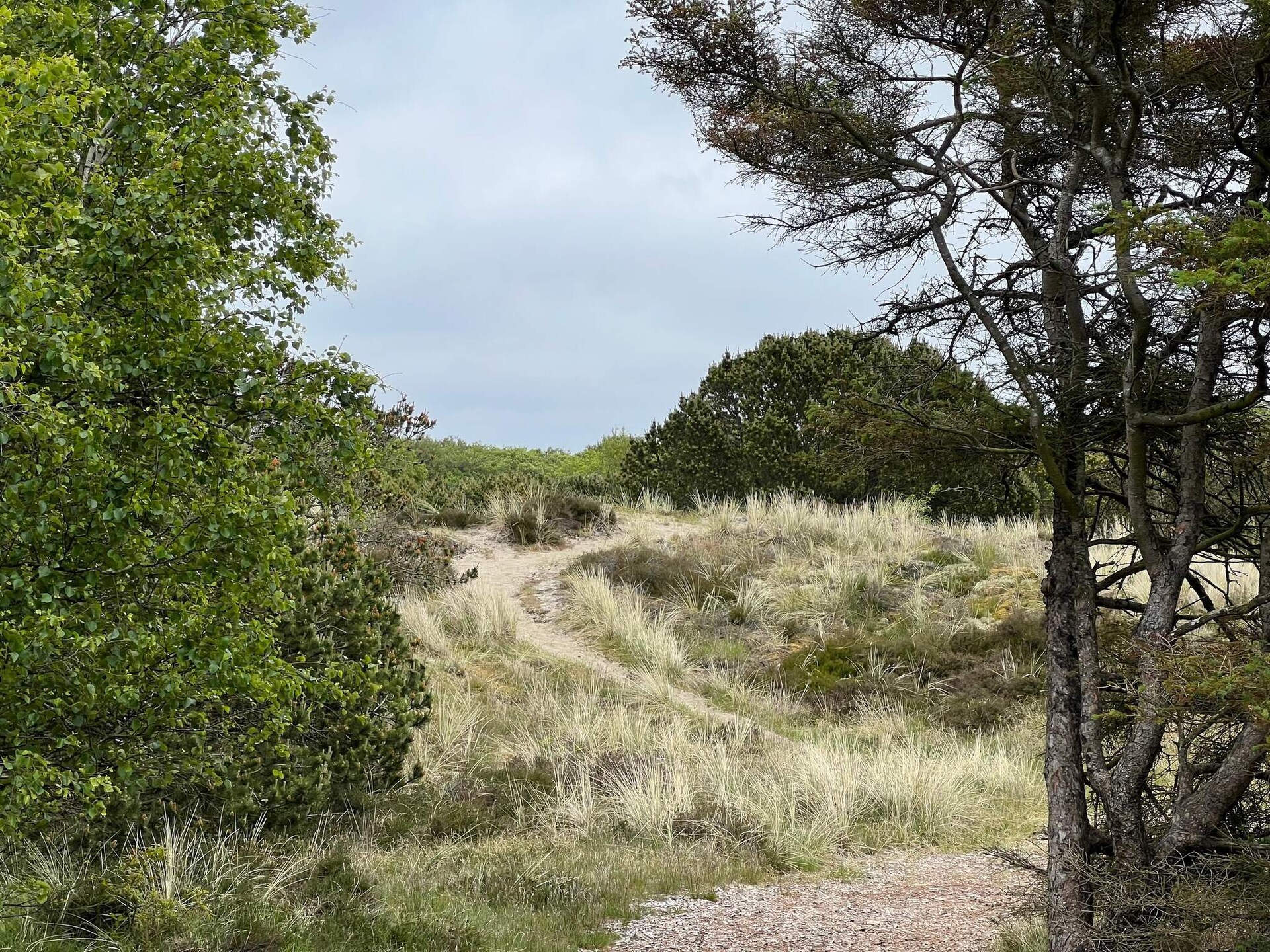 Knus vrijstaand vakantiehuis op Fanø, vlakbij zee en natuur - foto 5