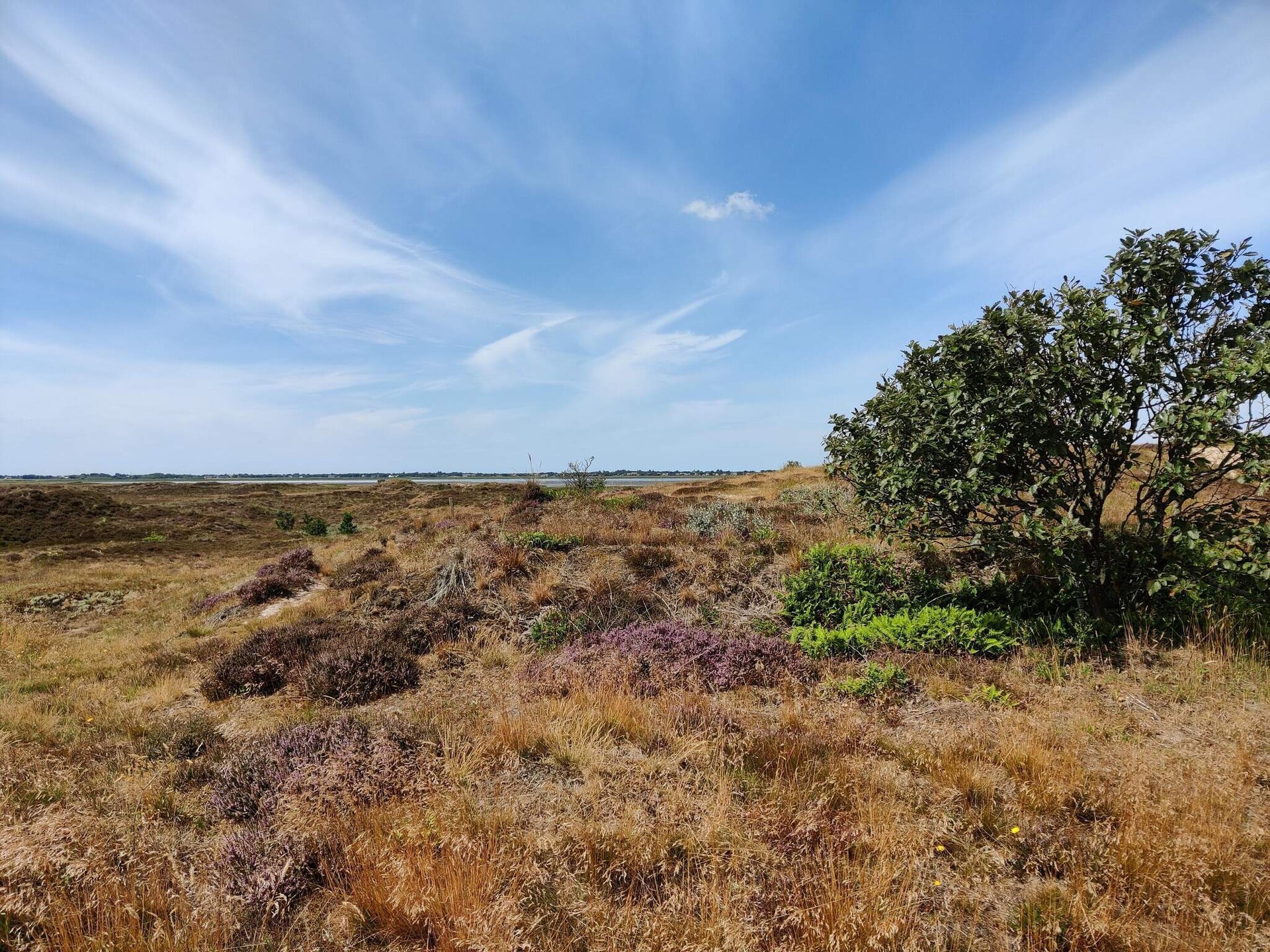 Knus vrijstaand vakantiehuis op Fanø, vlakbij zee en natuur - foto 6