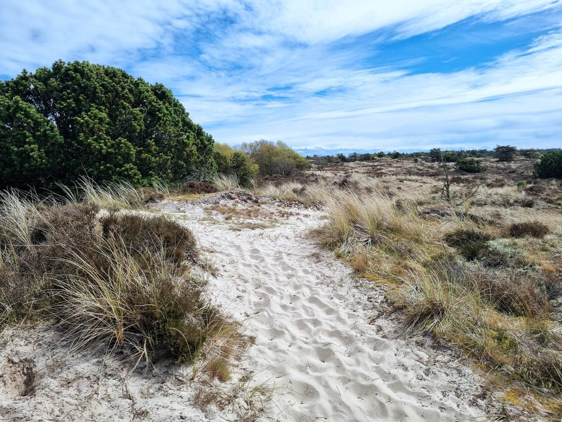 Knus vrijstaand vakantiehuis op Fanø, vlakbij zee en natuur - foto 7