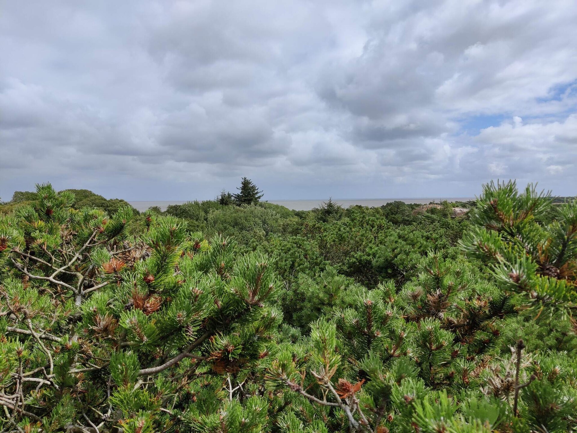 Knus vrijstaand vakantiehuis op Fanø, vlakbij zee en natuur - foto 9