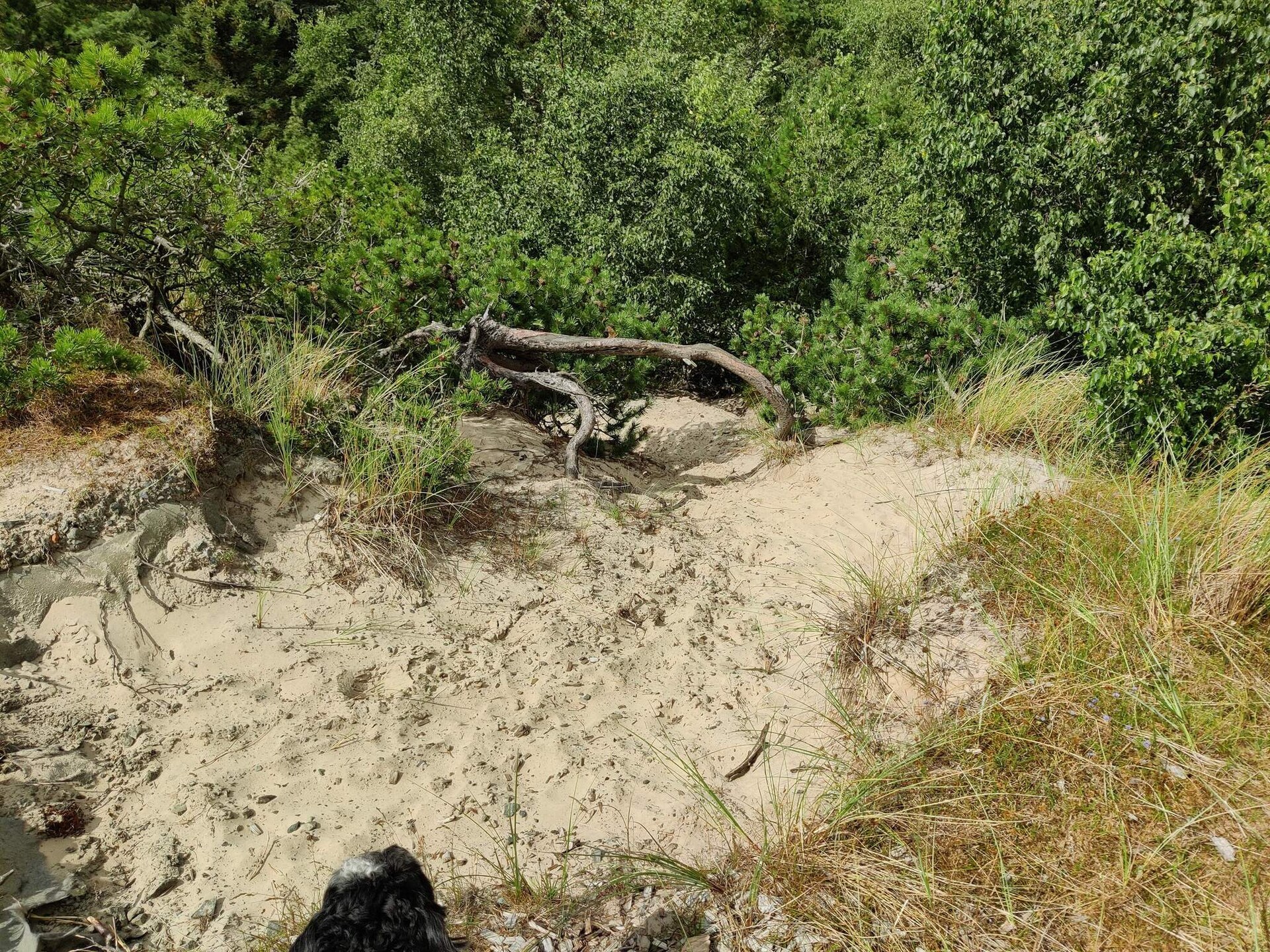 Knus vrijstaand vakantiehuis op Fanø, vlakbij zee en natuur - foto 10