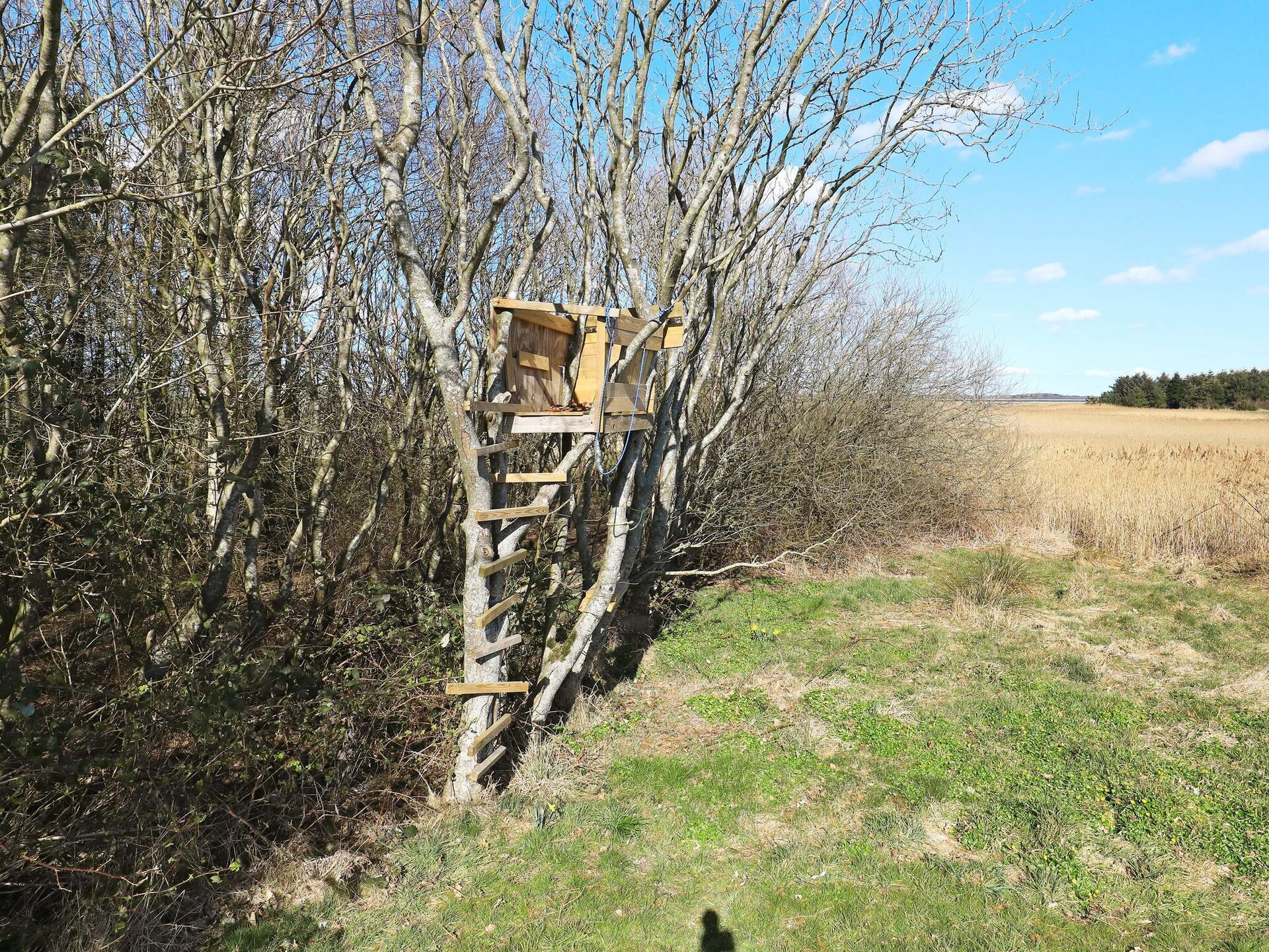 Op 800 m van zee: ruim vakantiehuis voor 10 personen in Thyholm - foto 45