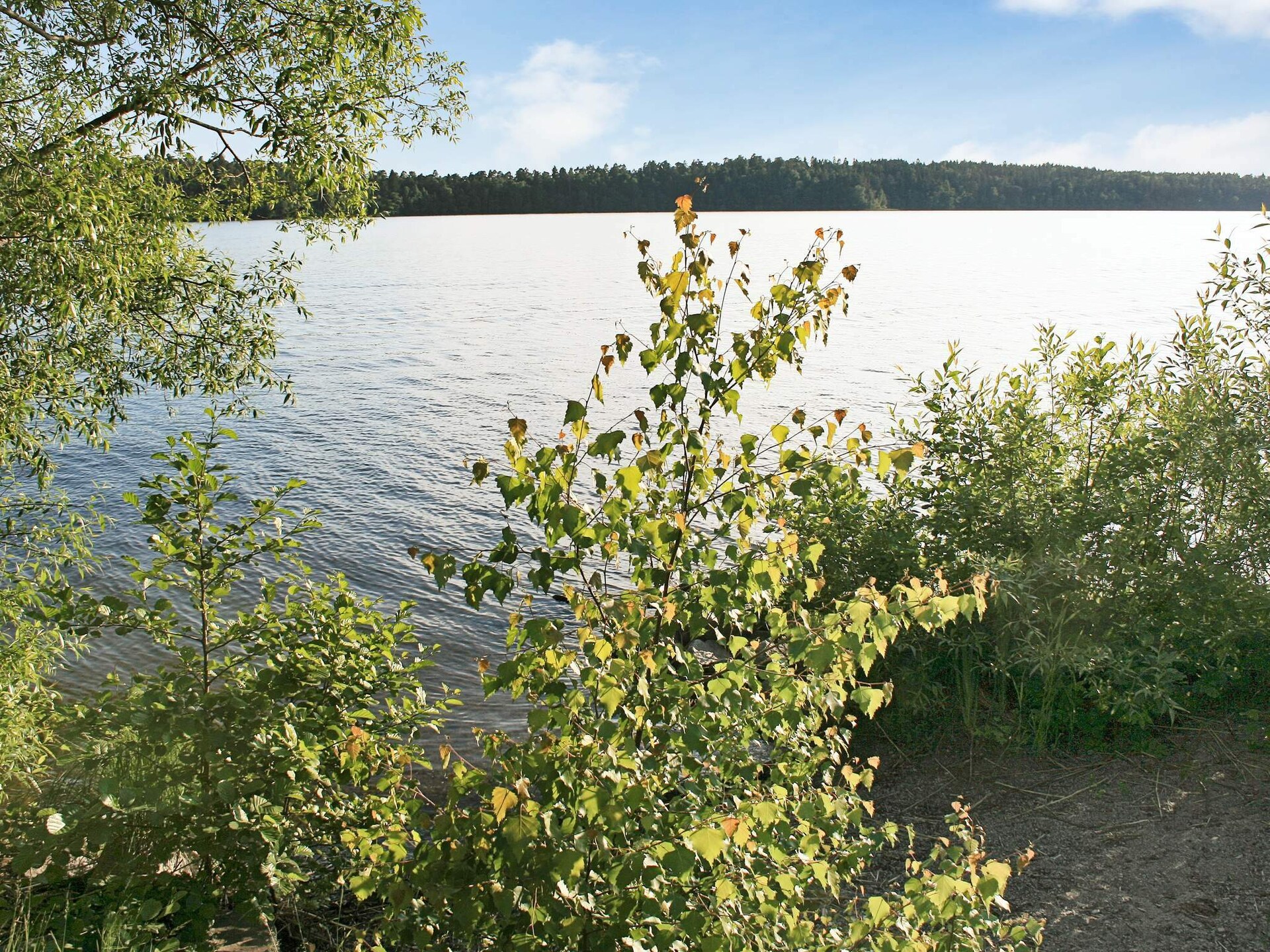 Knus vakantiehuisje aan de golfbaan bij Stockholm – 80m tot het meer - foto 6