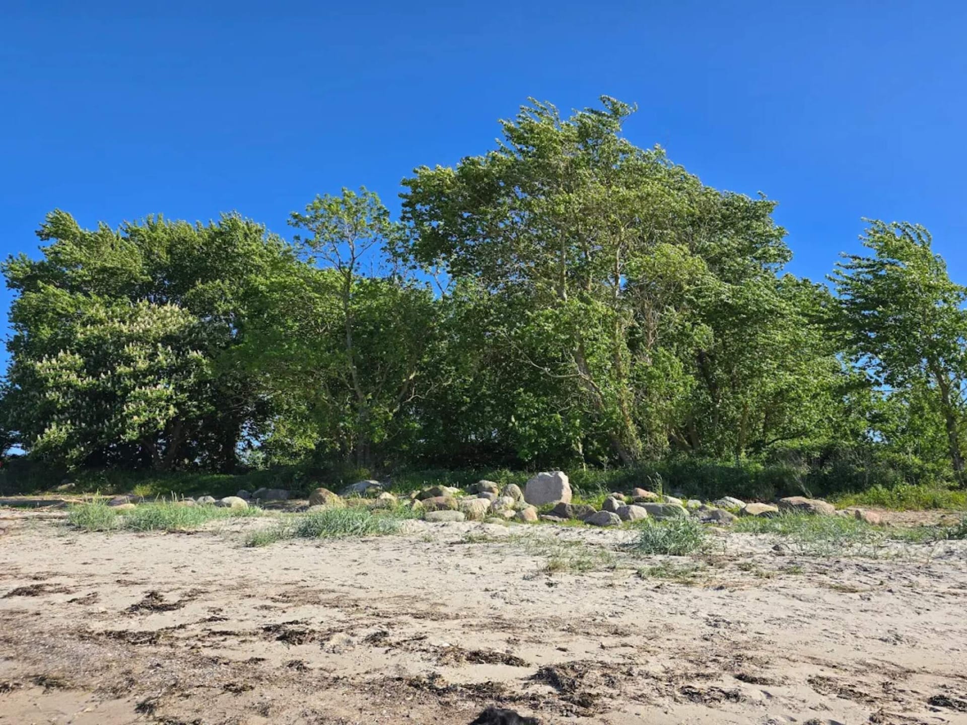Aan zee: Ruim vakantiehuis in Nordborg voor 12 personen · 162 m² - foto 12
