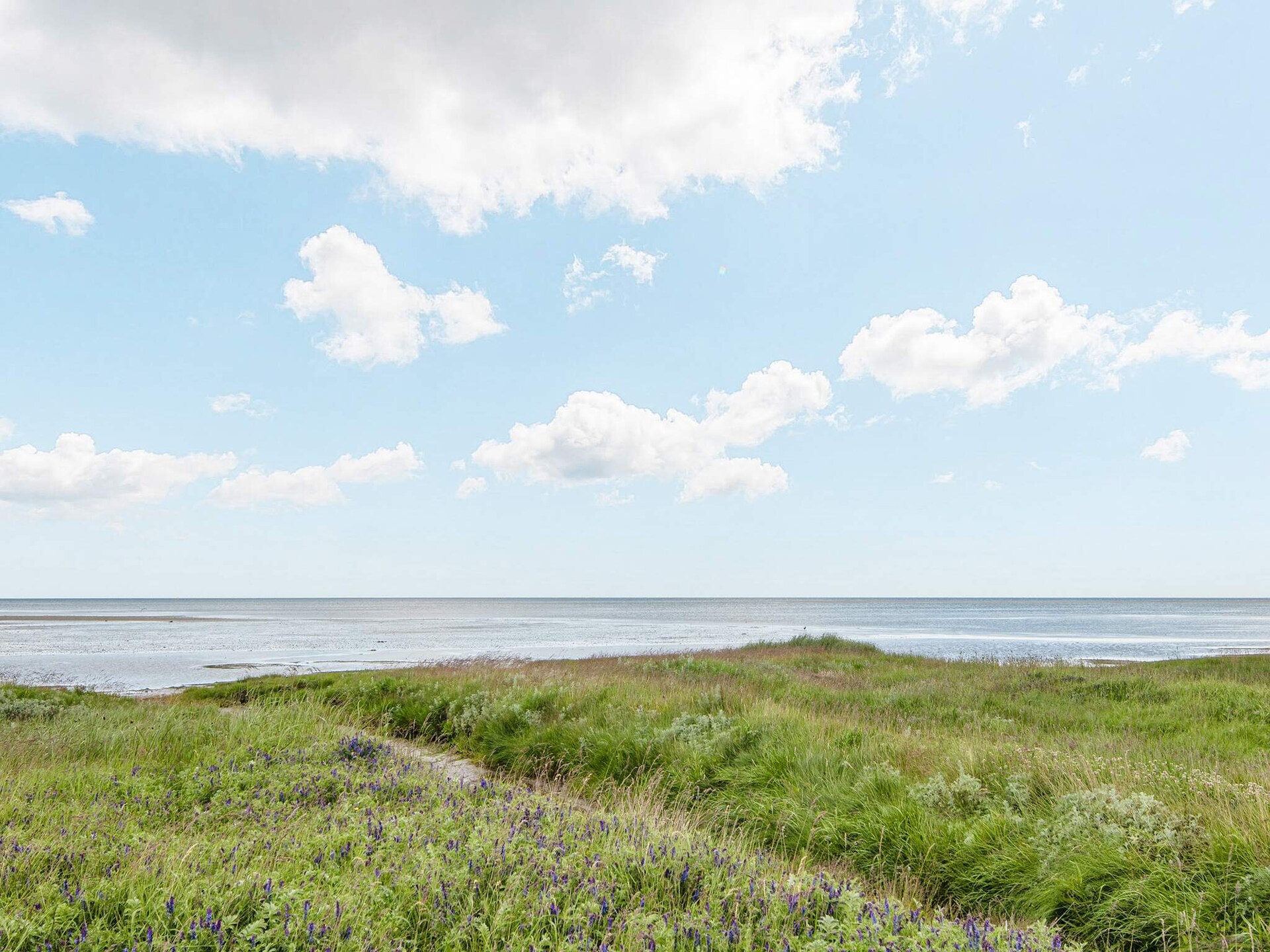 Licht vakantiehuis met privézwembad en sauna op 300 meter van het strand - foto 35
