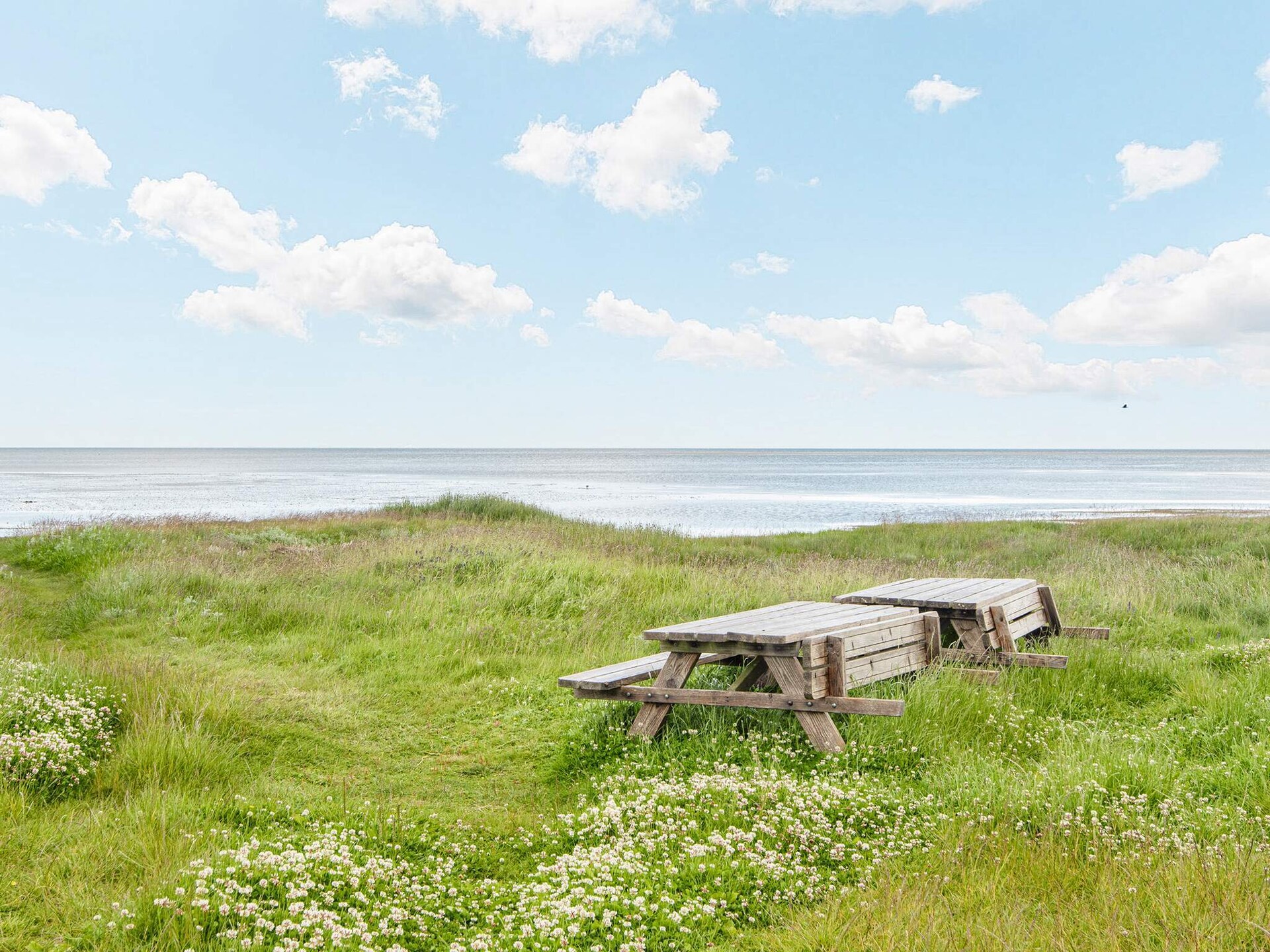 Licht vakantiehuis met privézwembad en sauna op 300 meter van het strand - foto 36